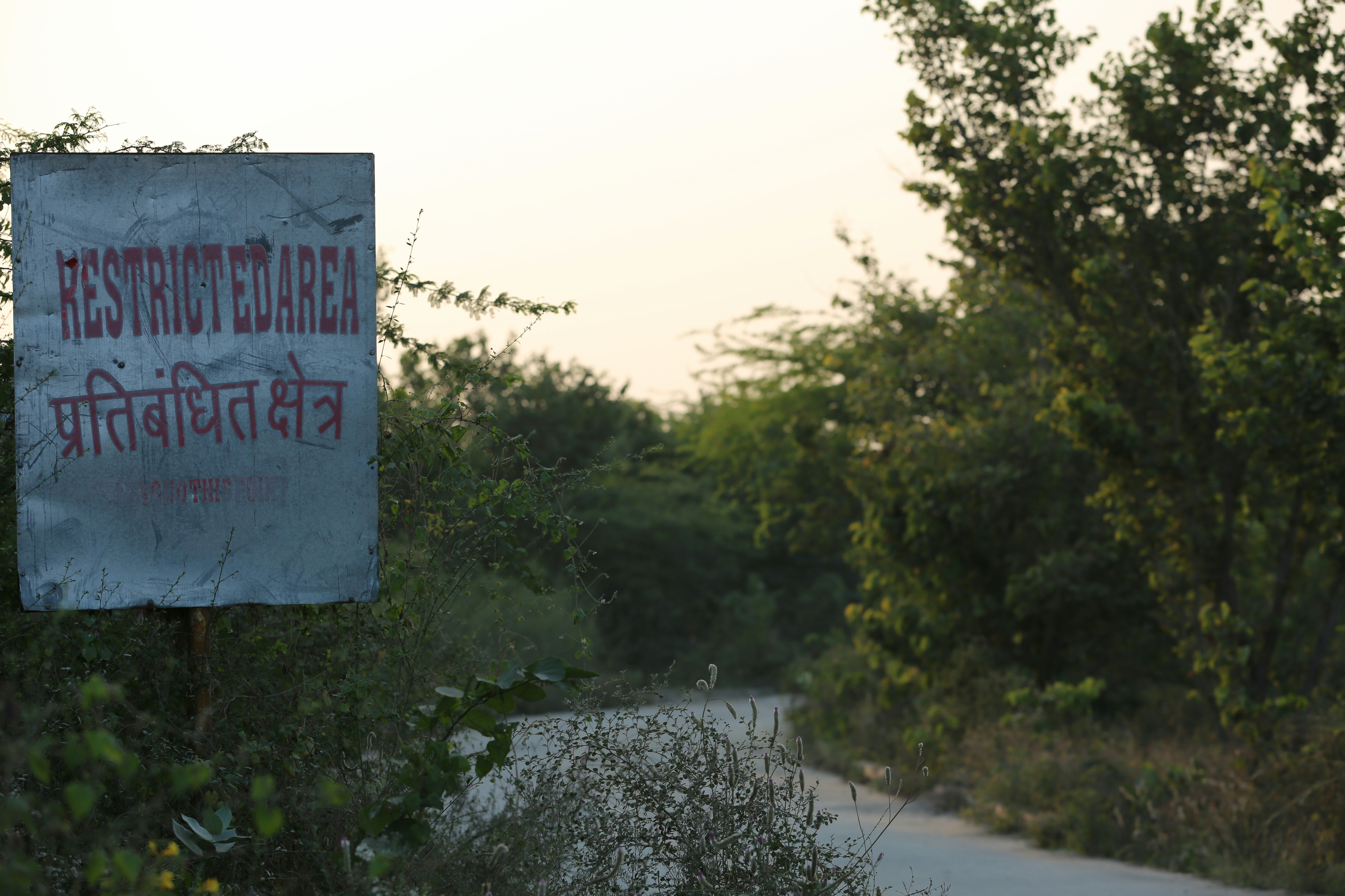 Photo by arjunbaroi365