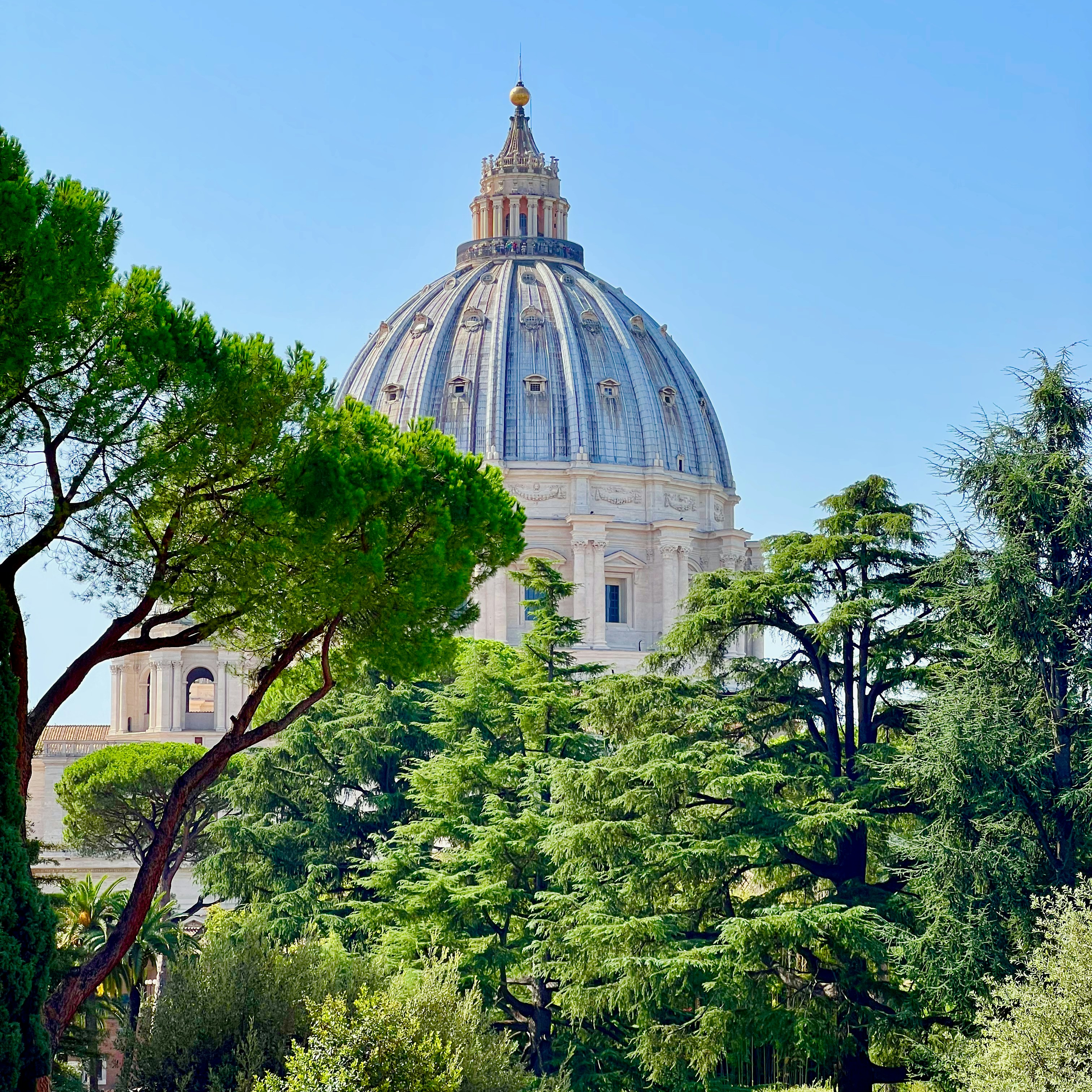 St. peter's basilica dome seen through trees