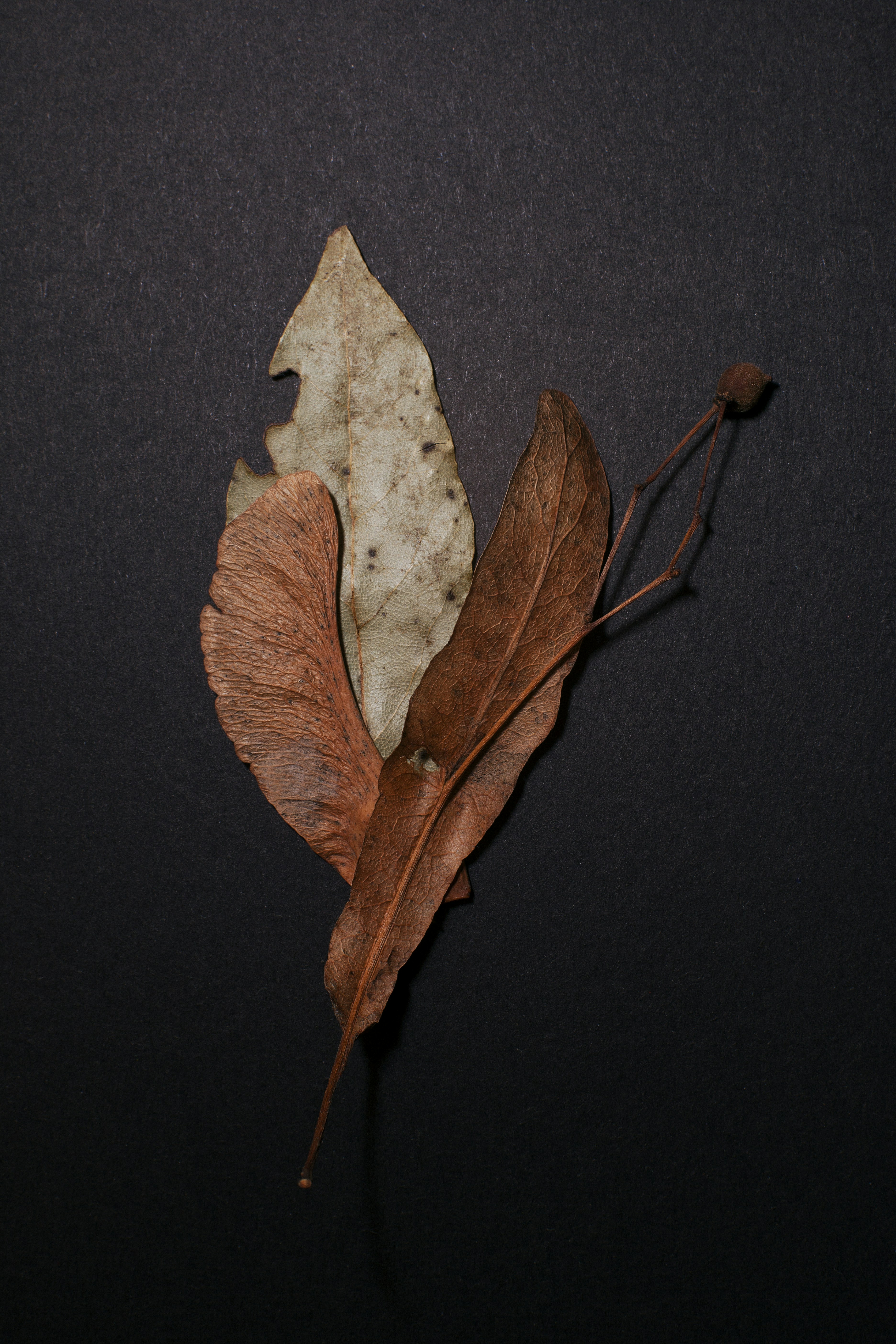 Photo by sergioartnoart