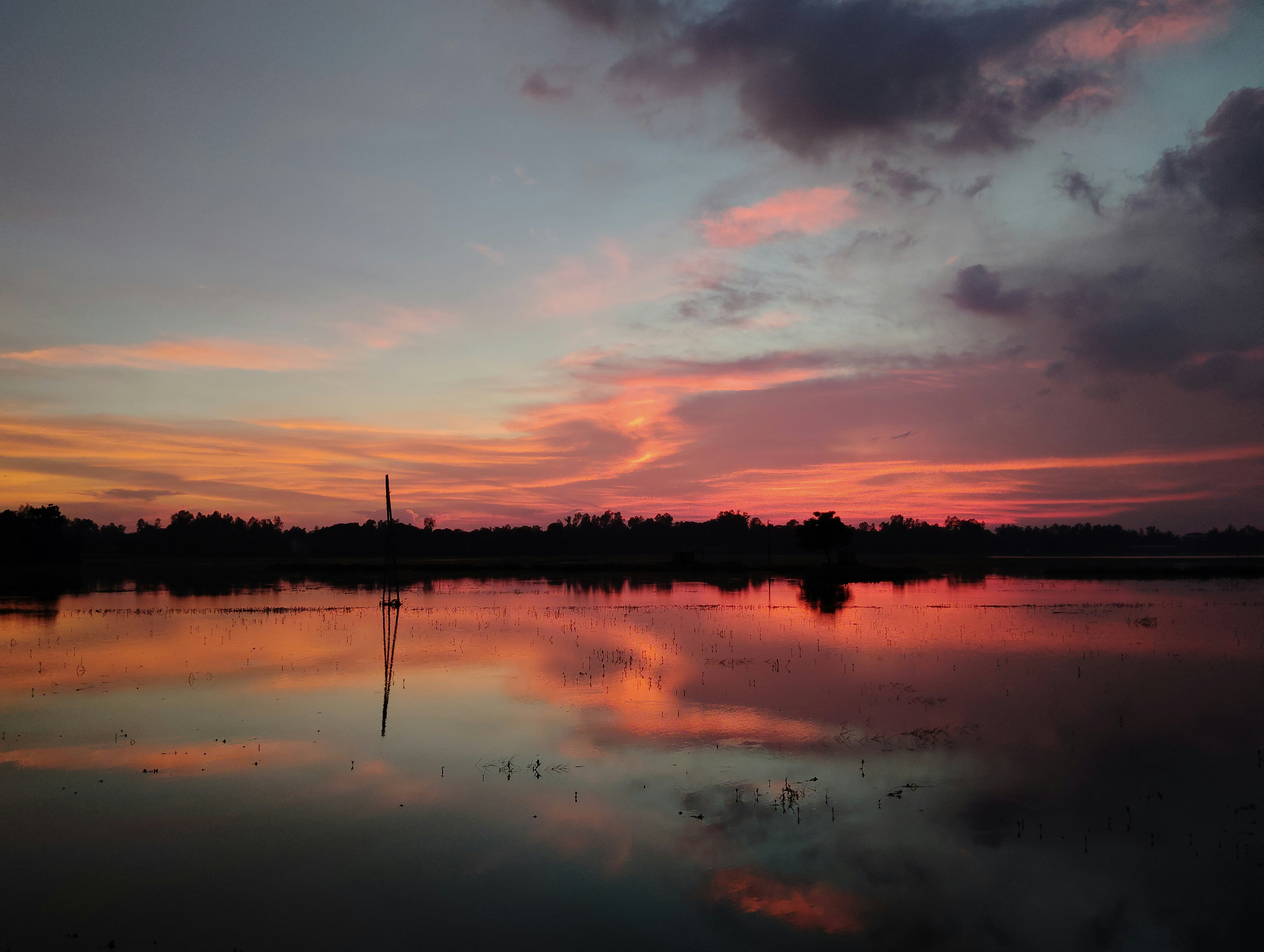 Photo by arjunbaroi365