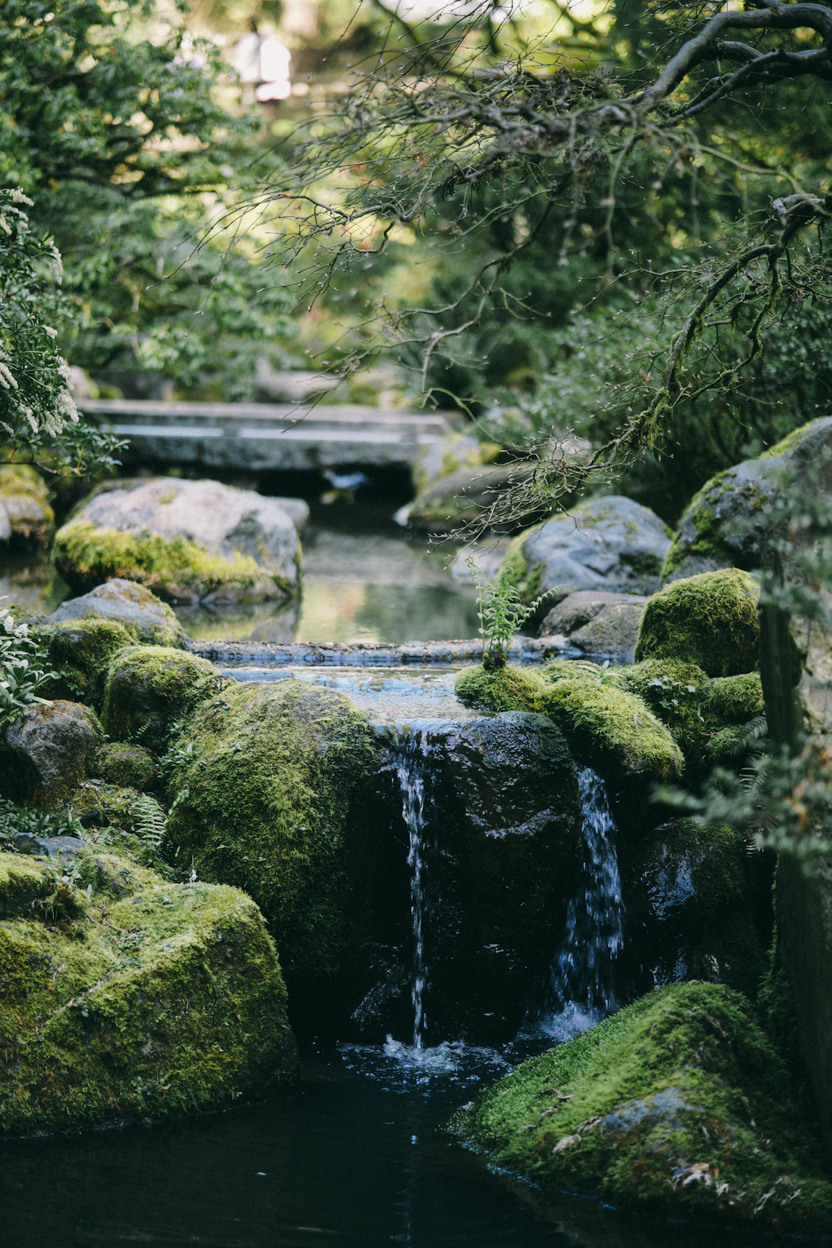 Kokernag