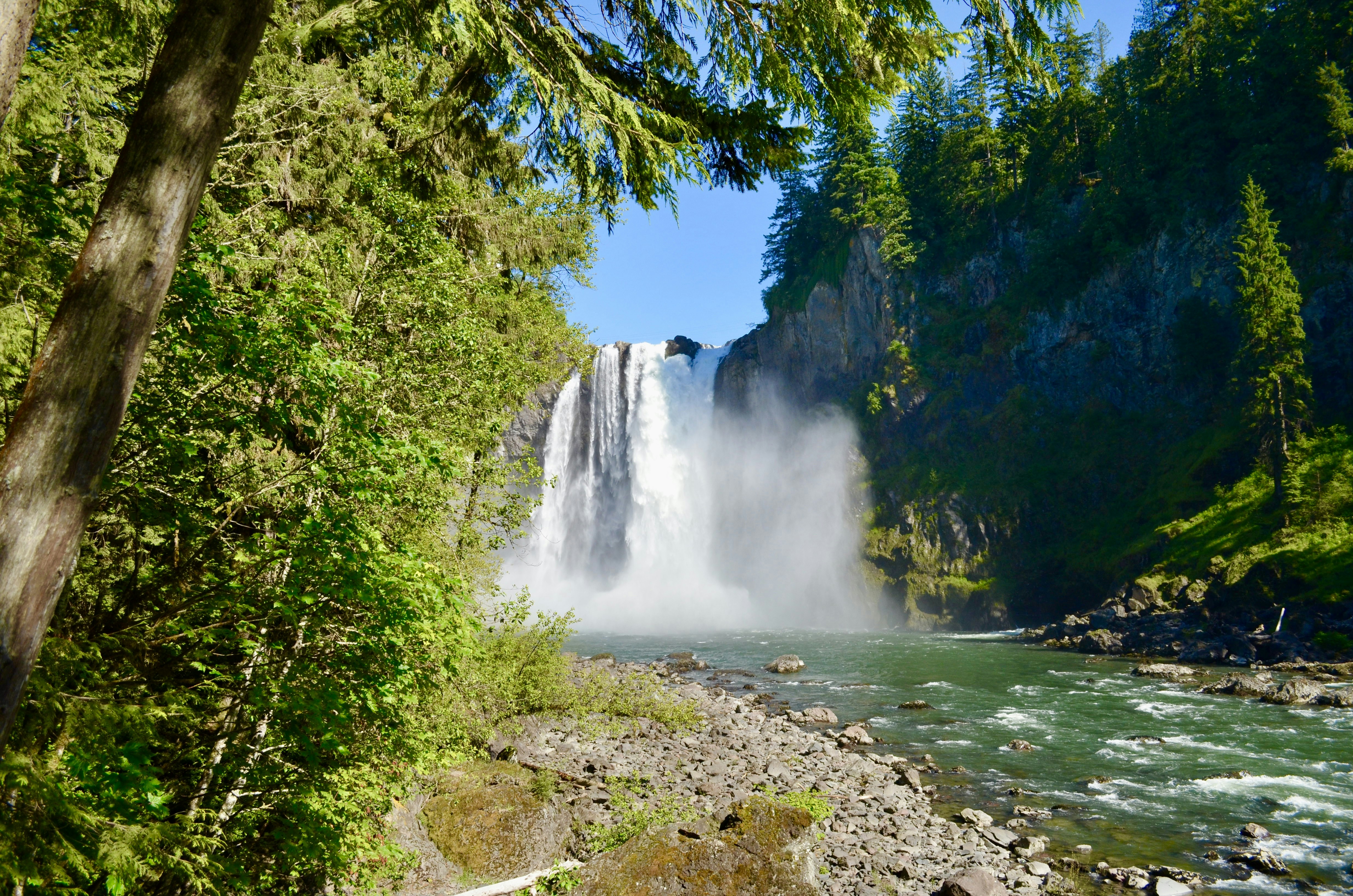 Majestic waterfall cascades down rocky cliffs surrounded by lush forest.