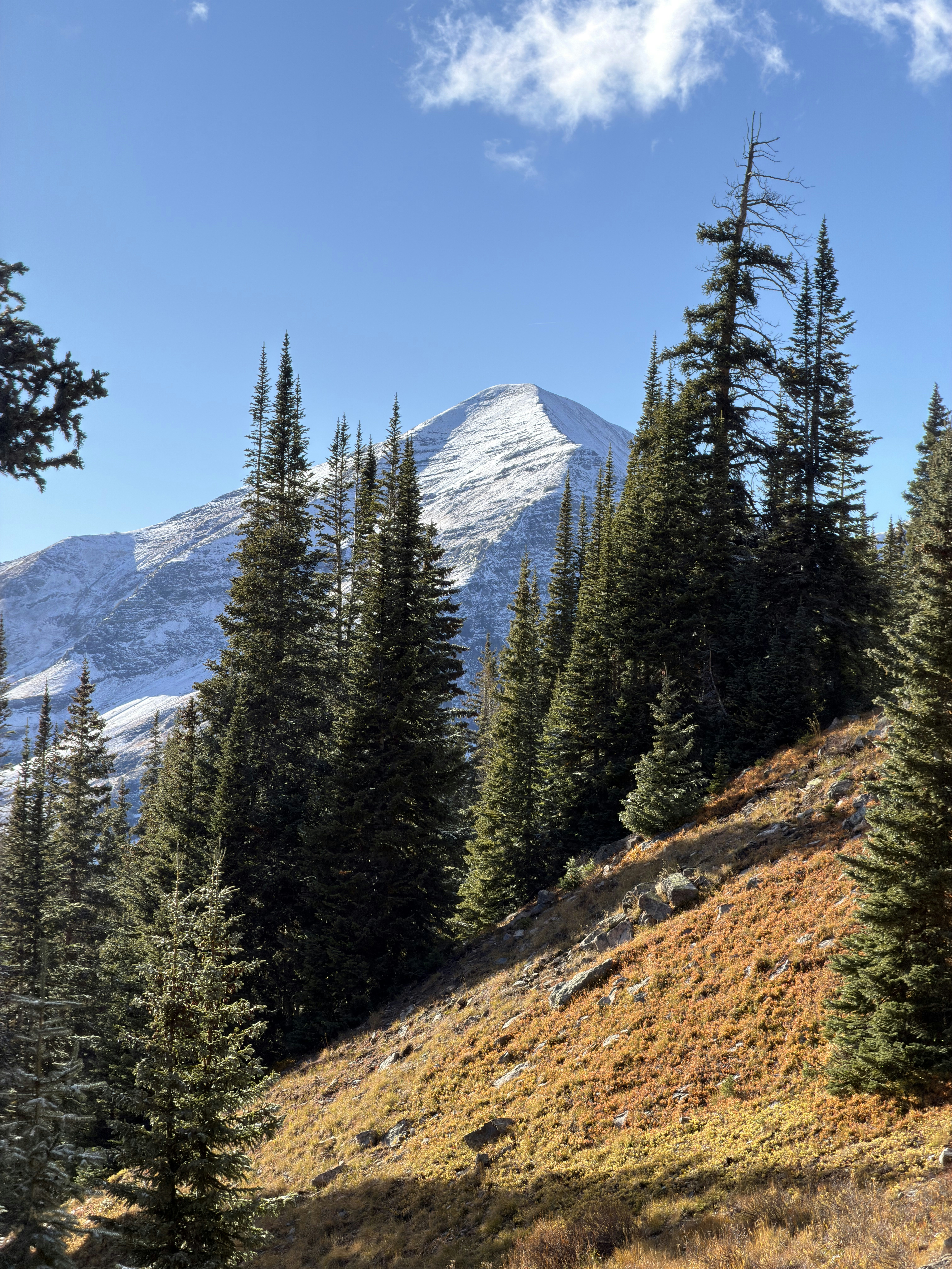 Photo by elijahjcobb