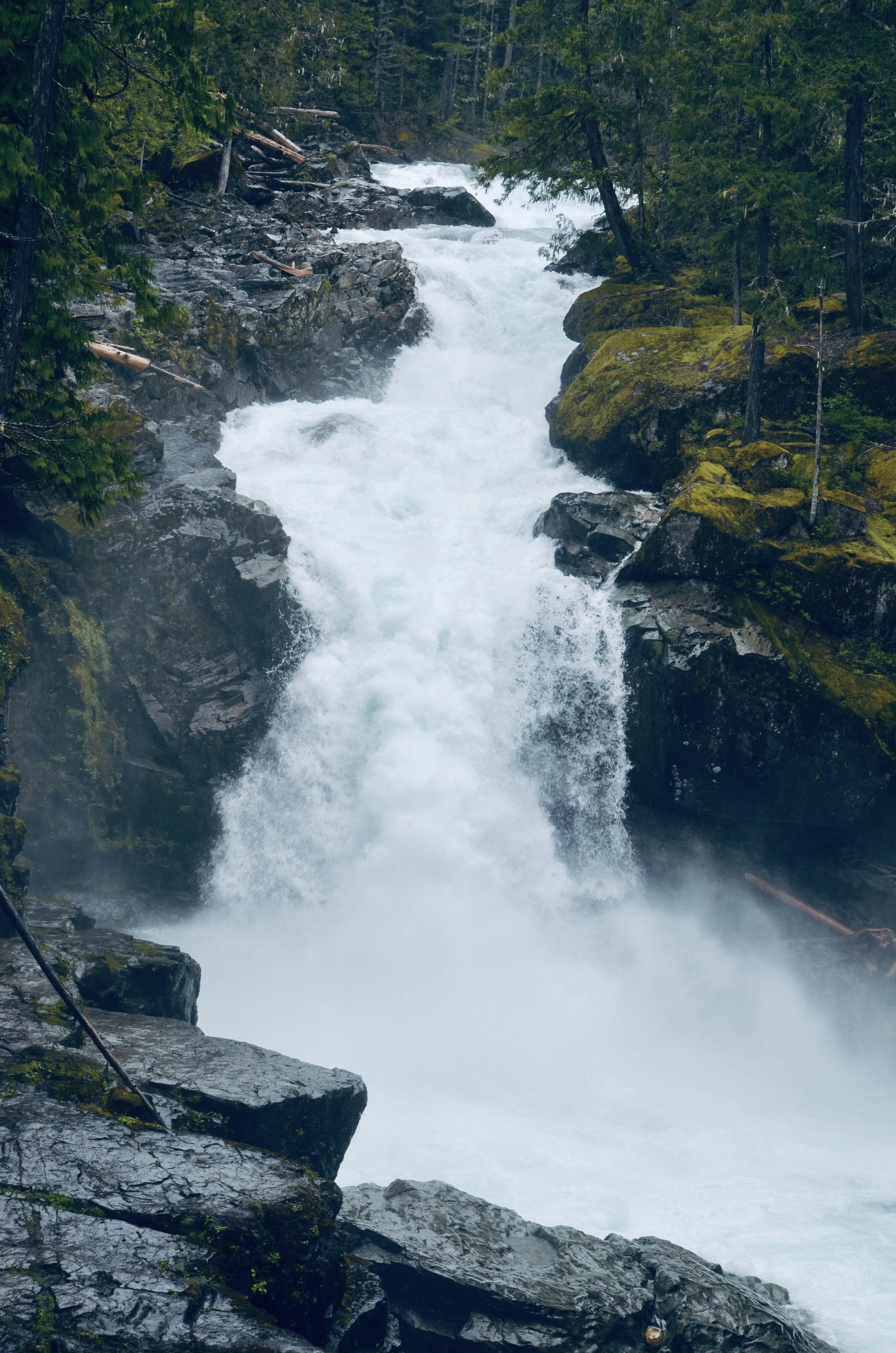 Photo by elijahjcobb