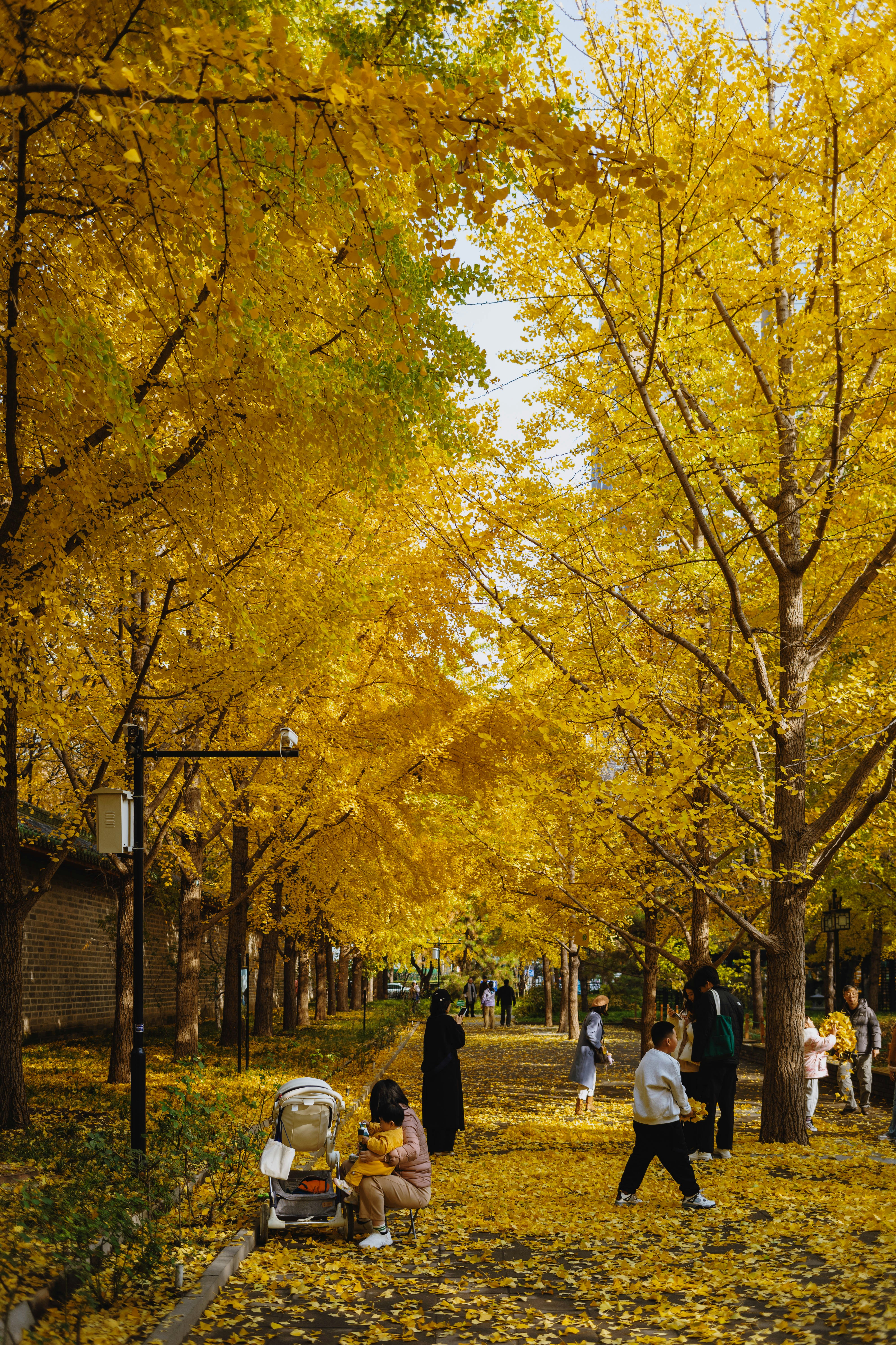 Photo by tommaomaoer