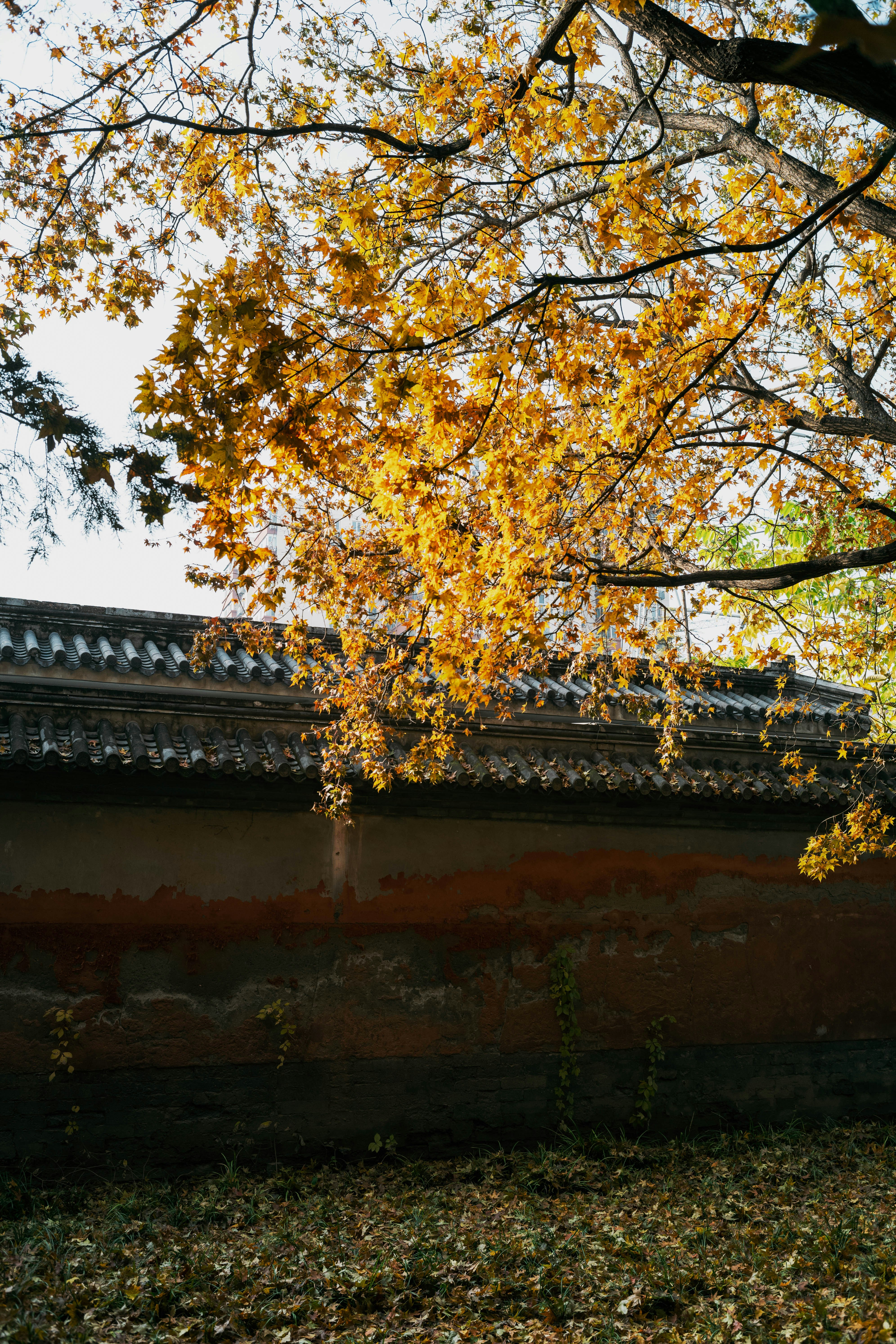 Photo by tommaomaoer