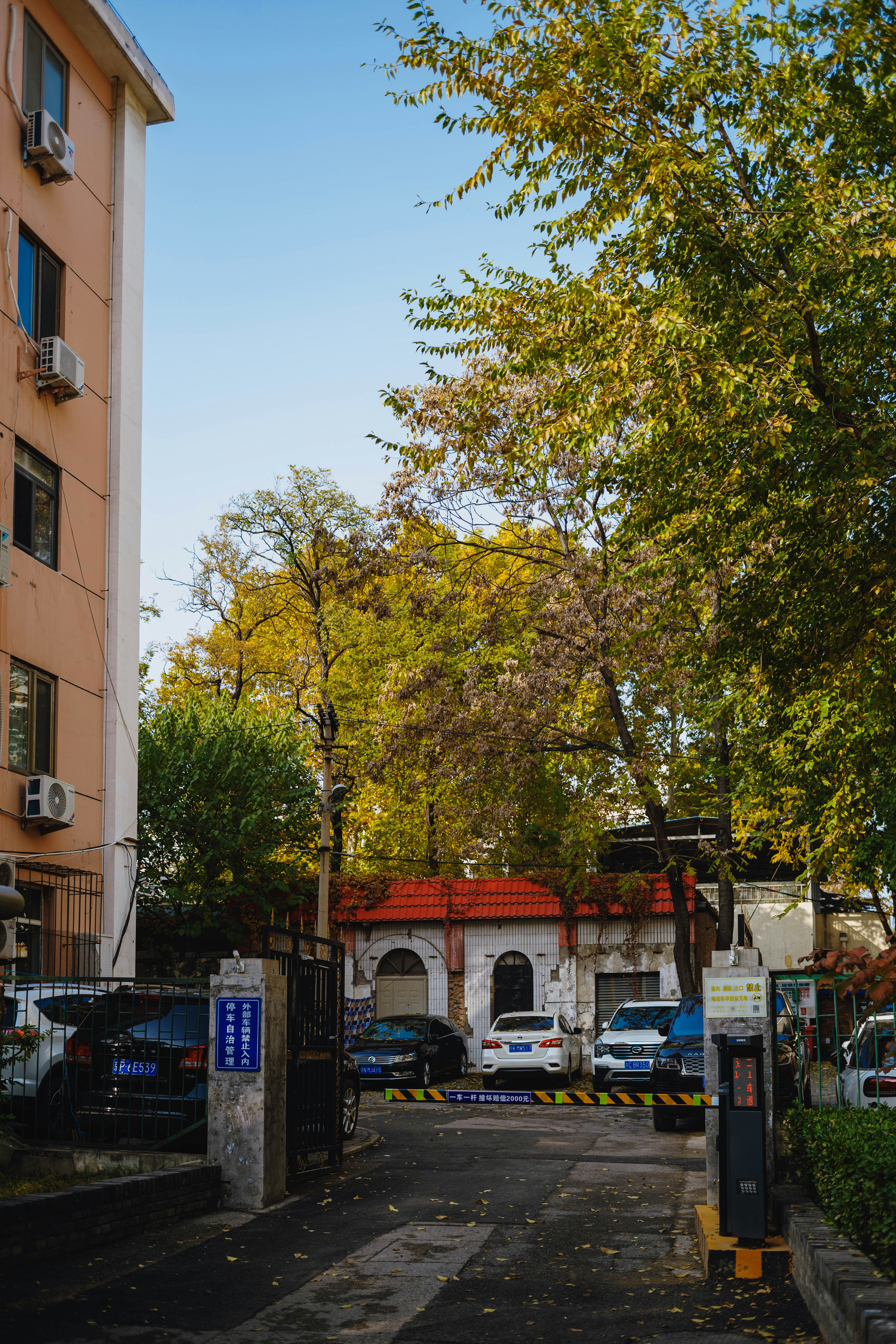 Photo by tommaomaoer