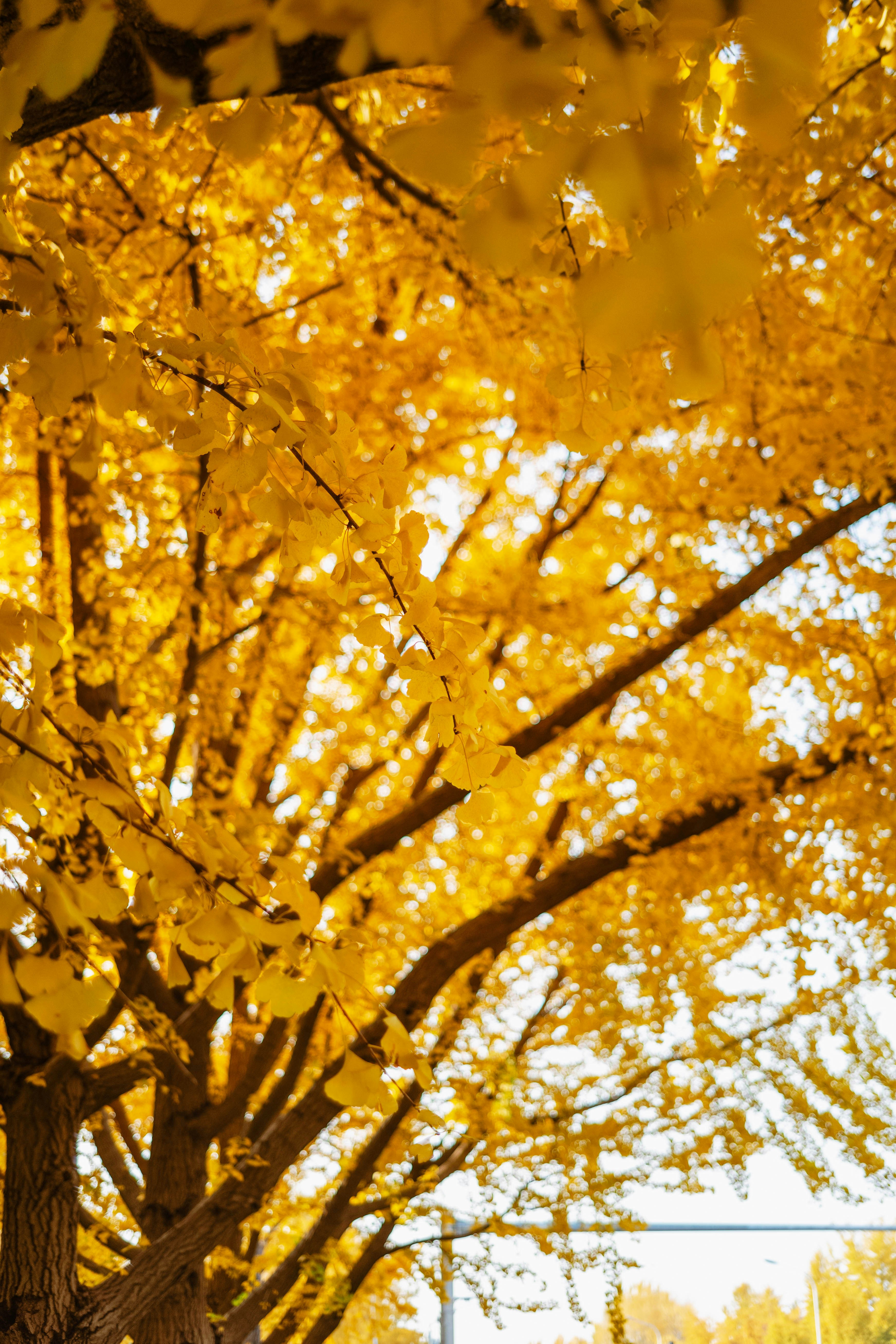 Photo by tommaomaoer