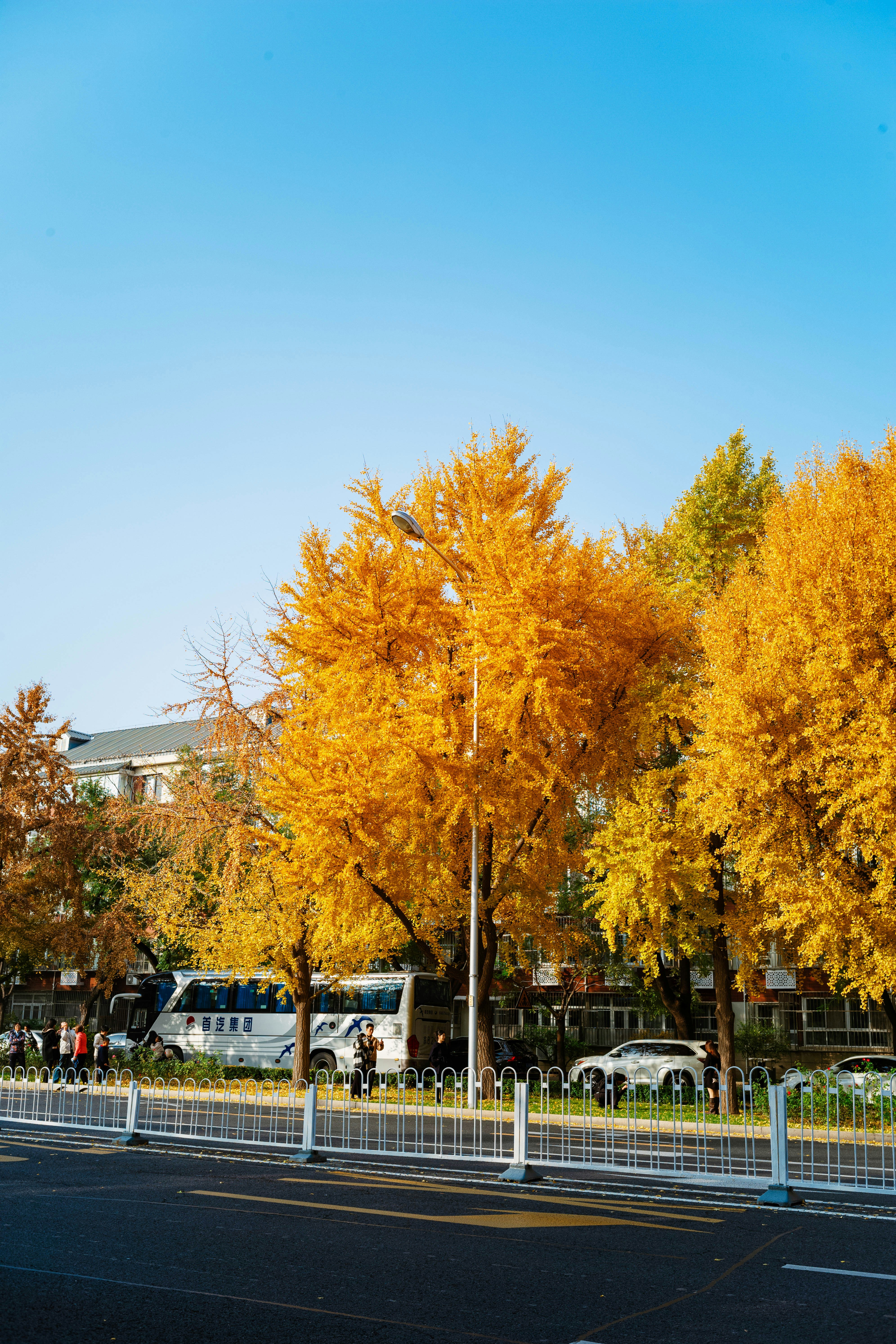 Photo by tommaomaoer