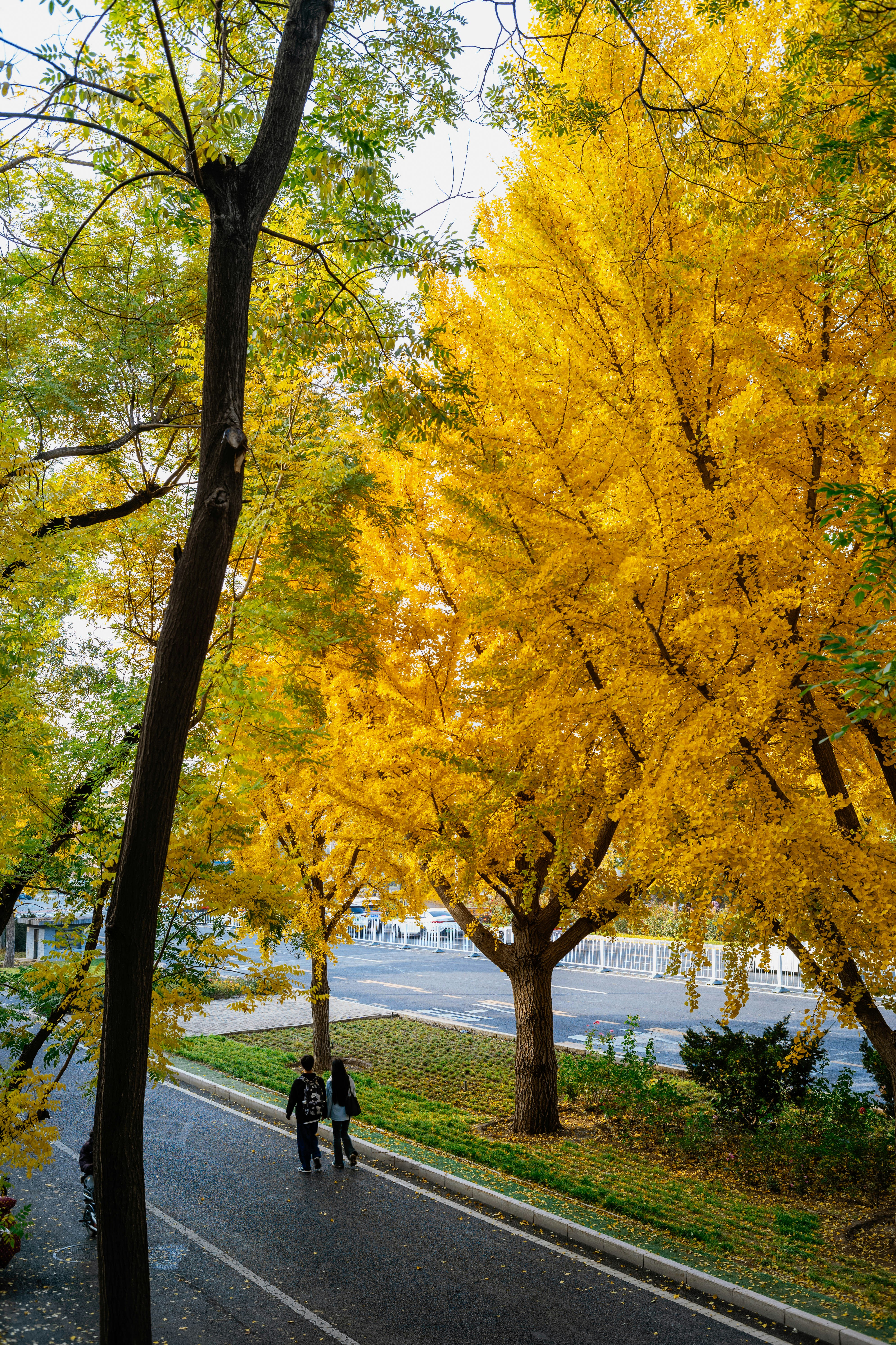 Photo by tommaomaoer