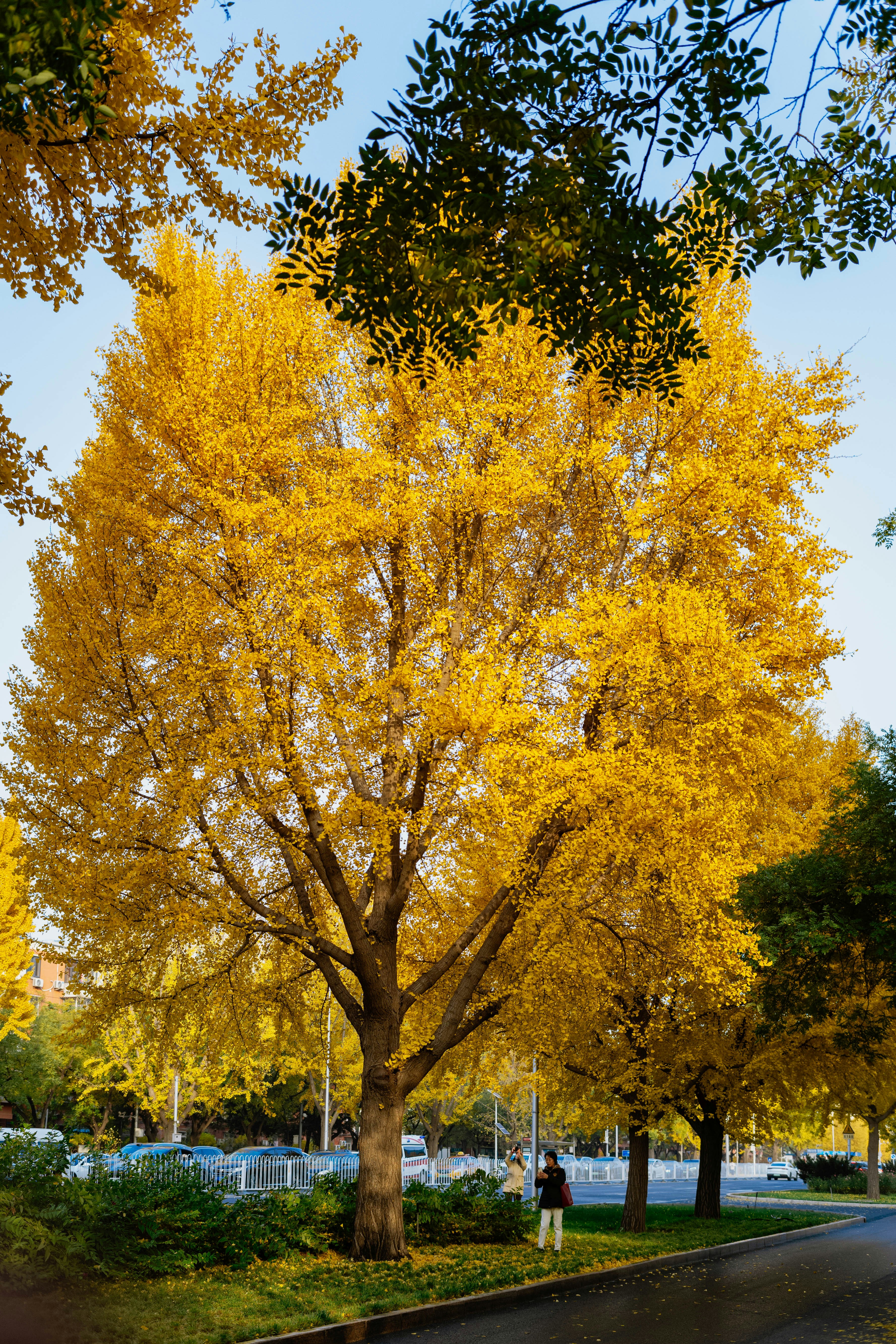 Photo by tommaomaoer