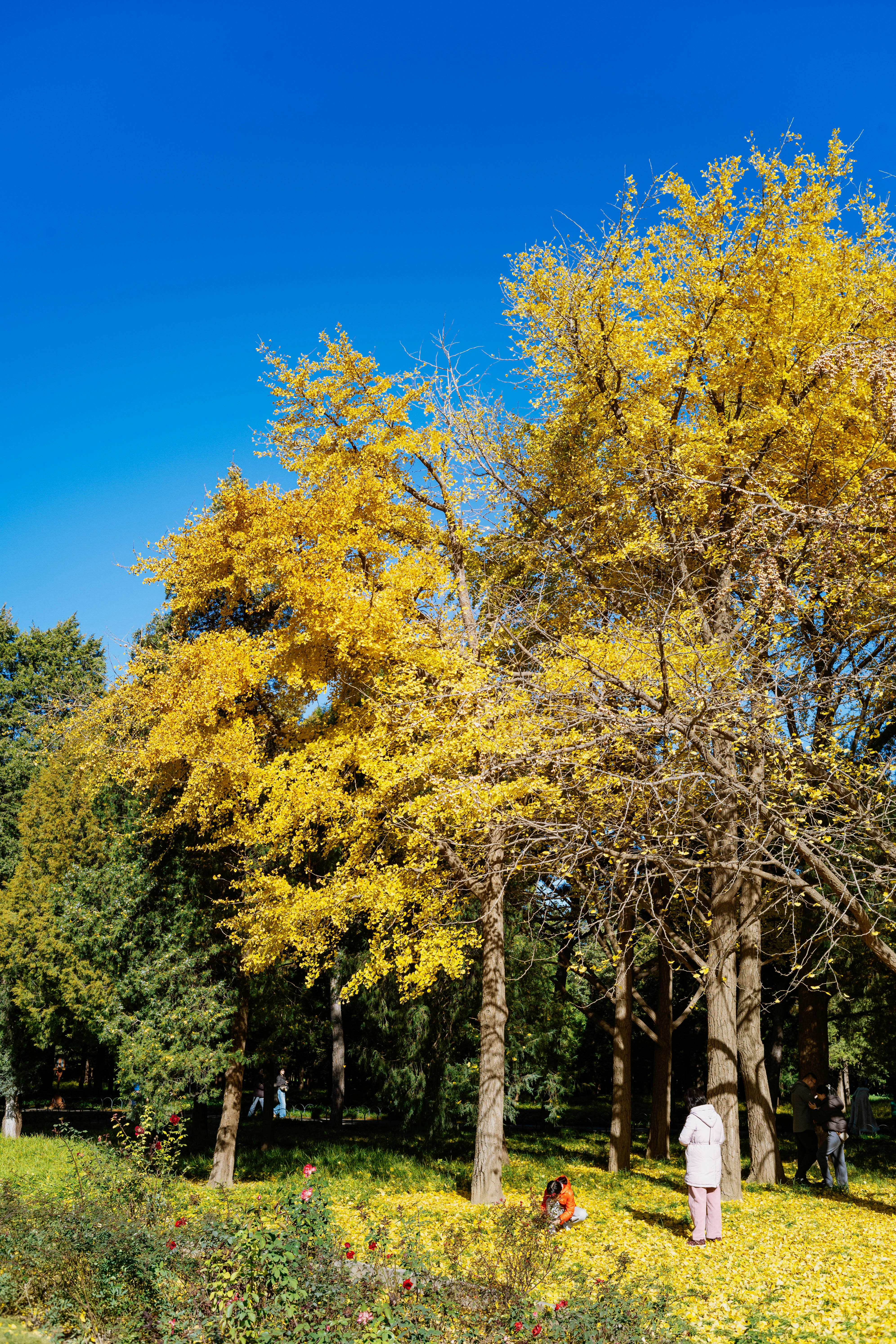 Photo by tommaomaoer