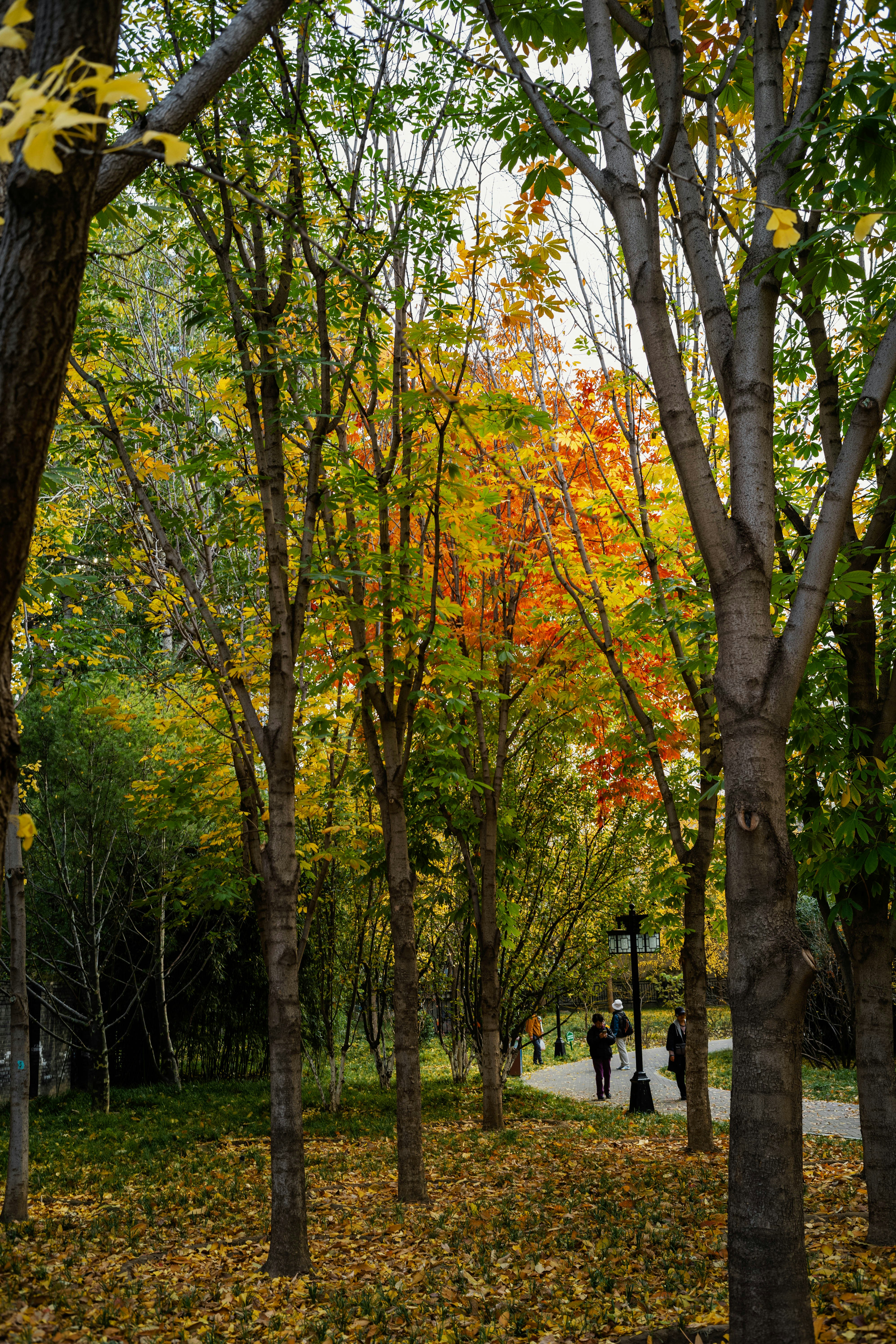 Photo by tommaomaoer