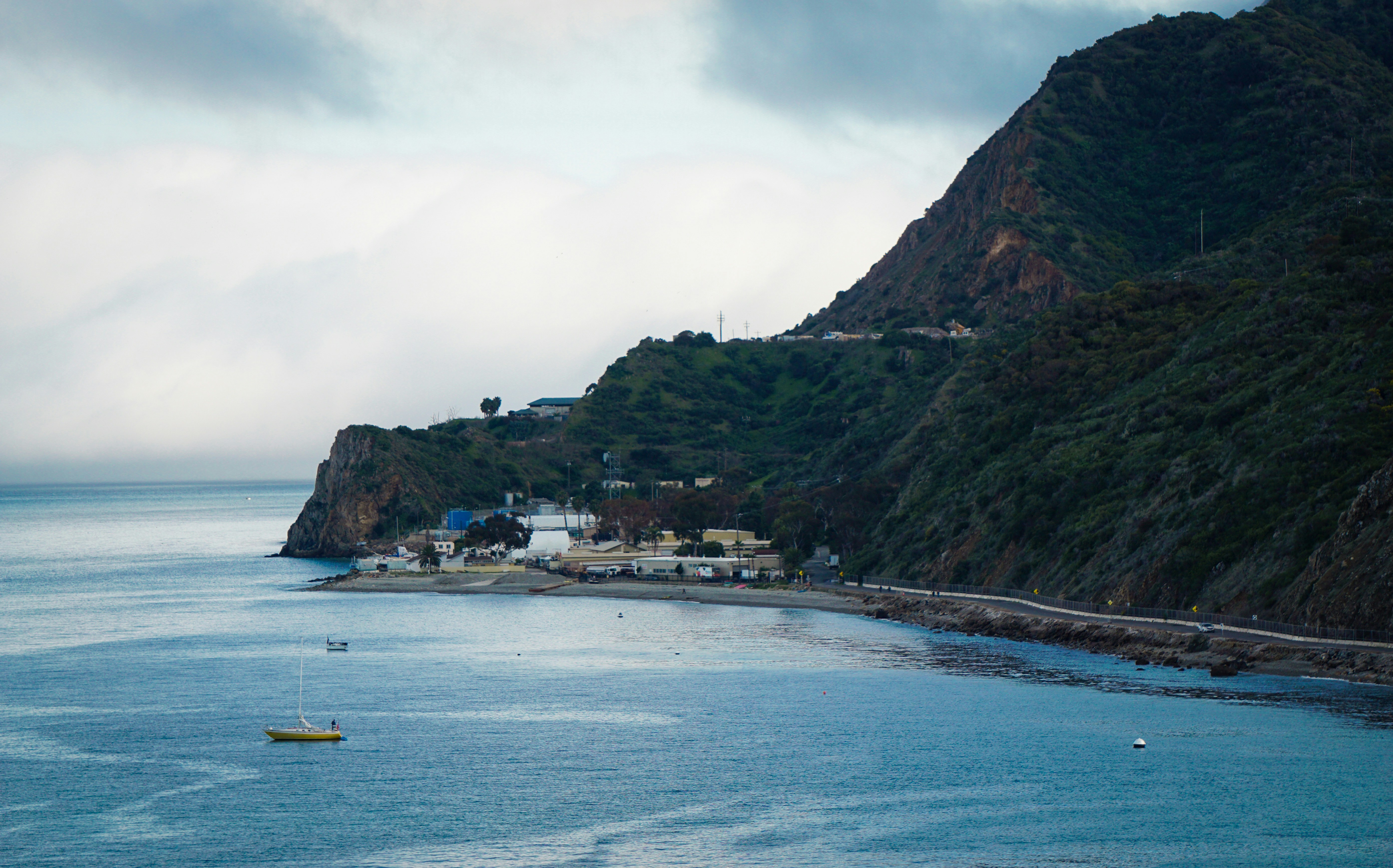 Photo by rollerroller8