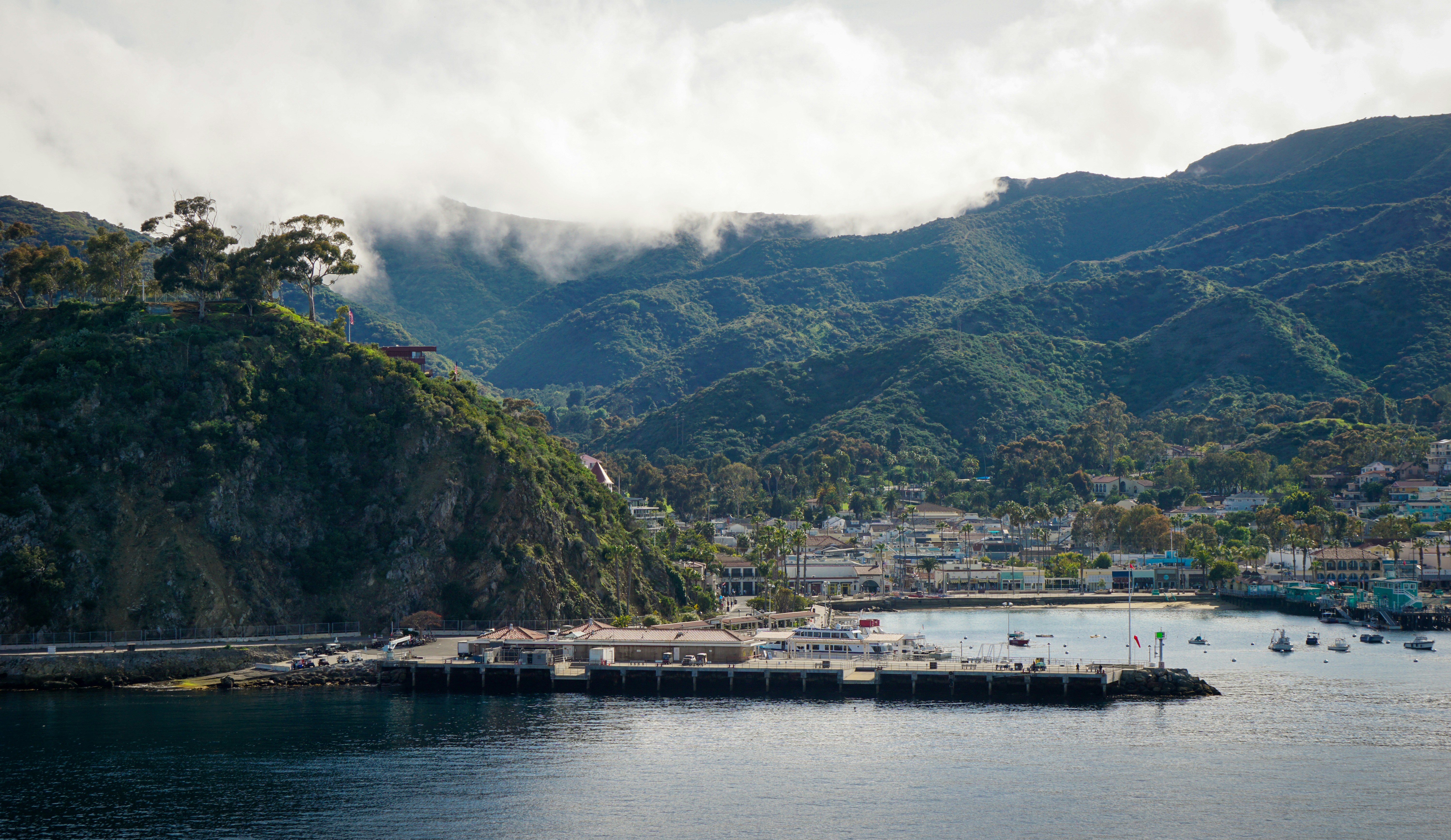 Photo by rollerroller8