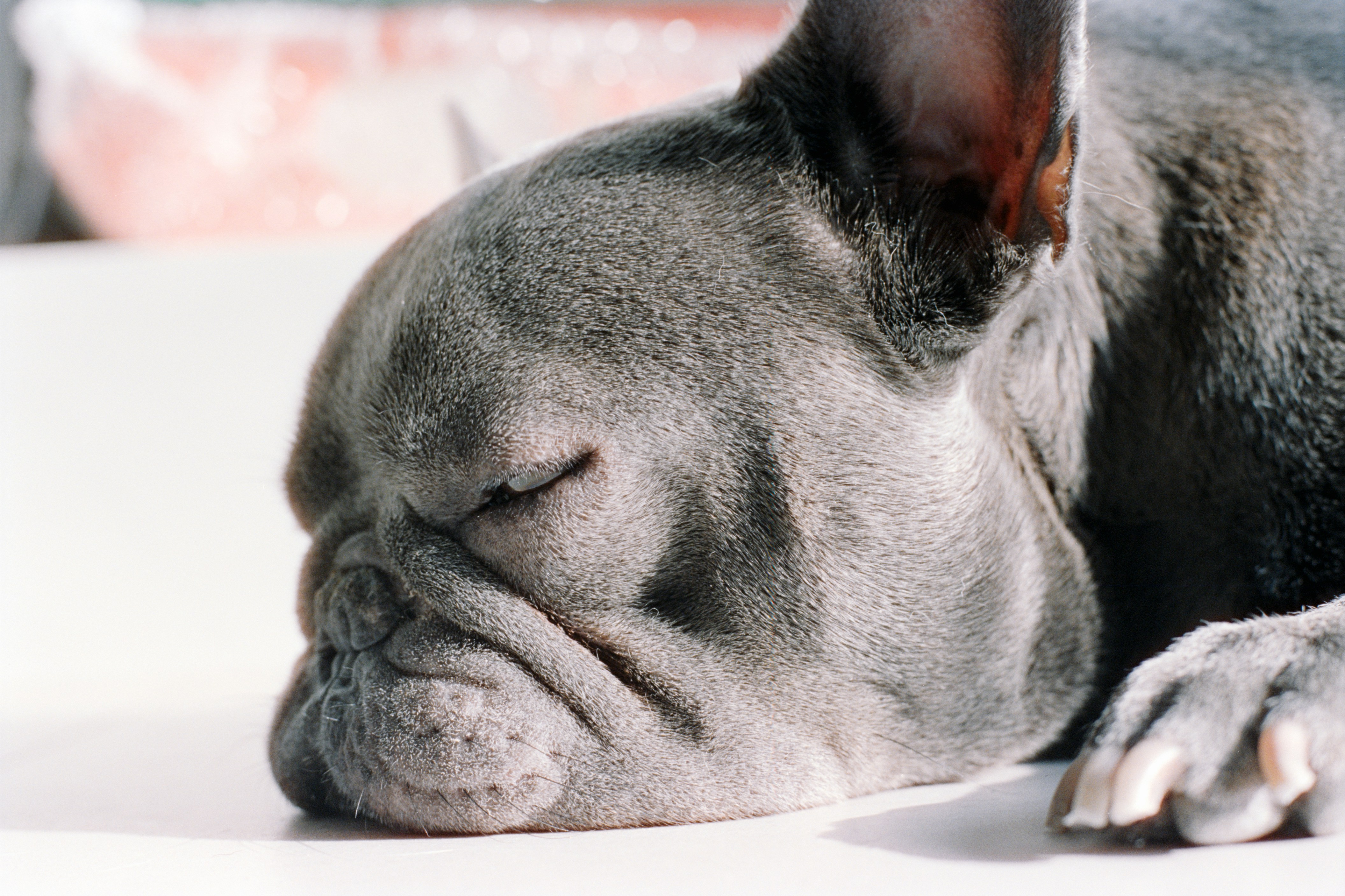 Photo by zhenyao_photo