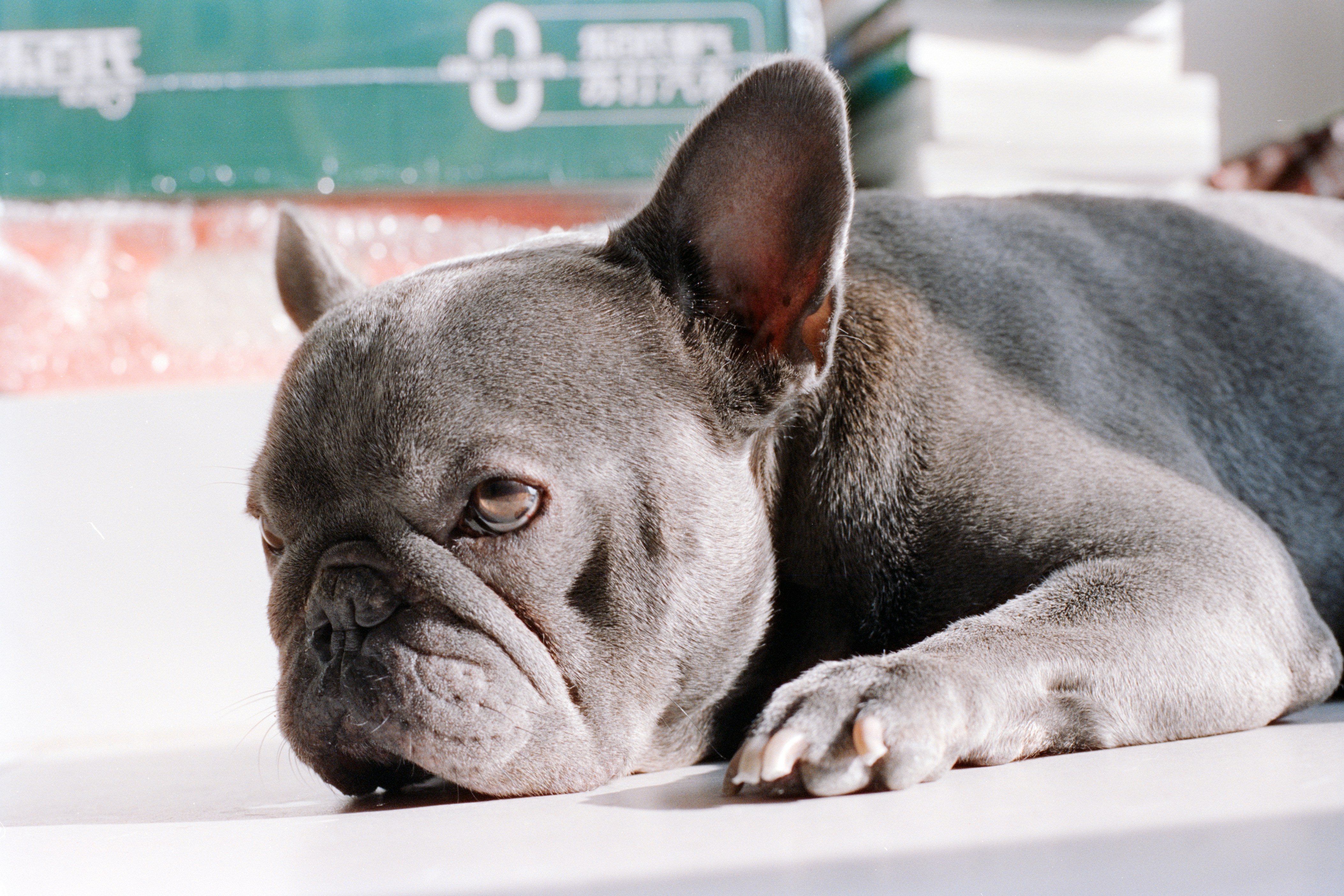 Photo by zhenyao_photo