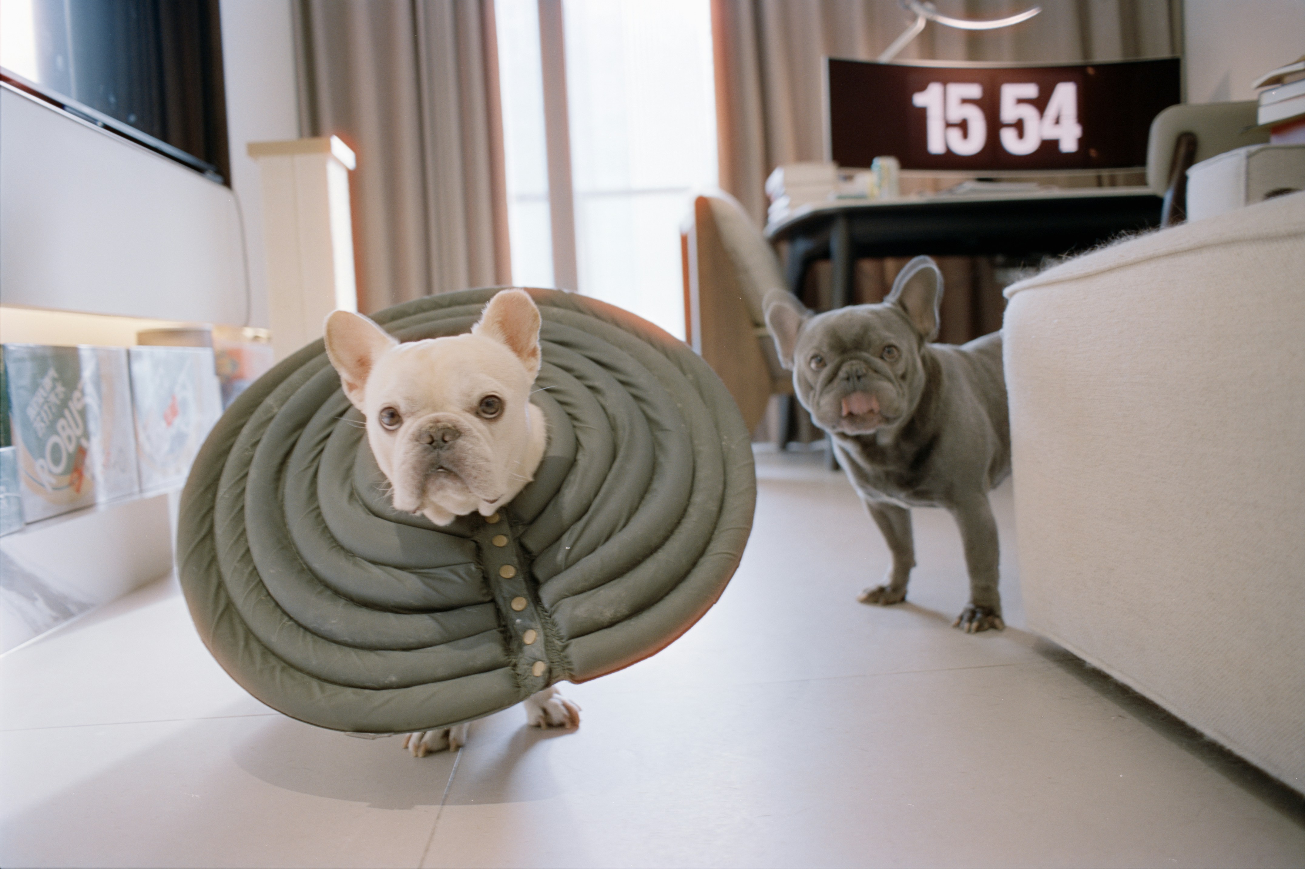 Home Recovery Tech in 2026: Battery Strategies, Clinical Handoffs, and Zero‑Waste Packaging