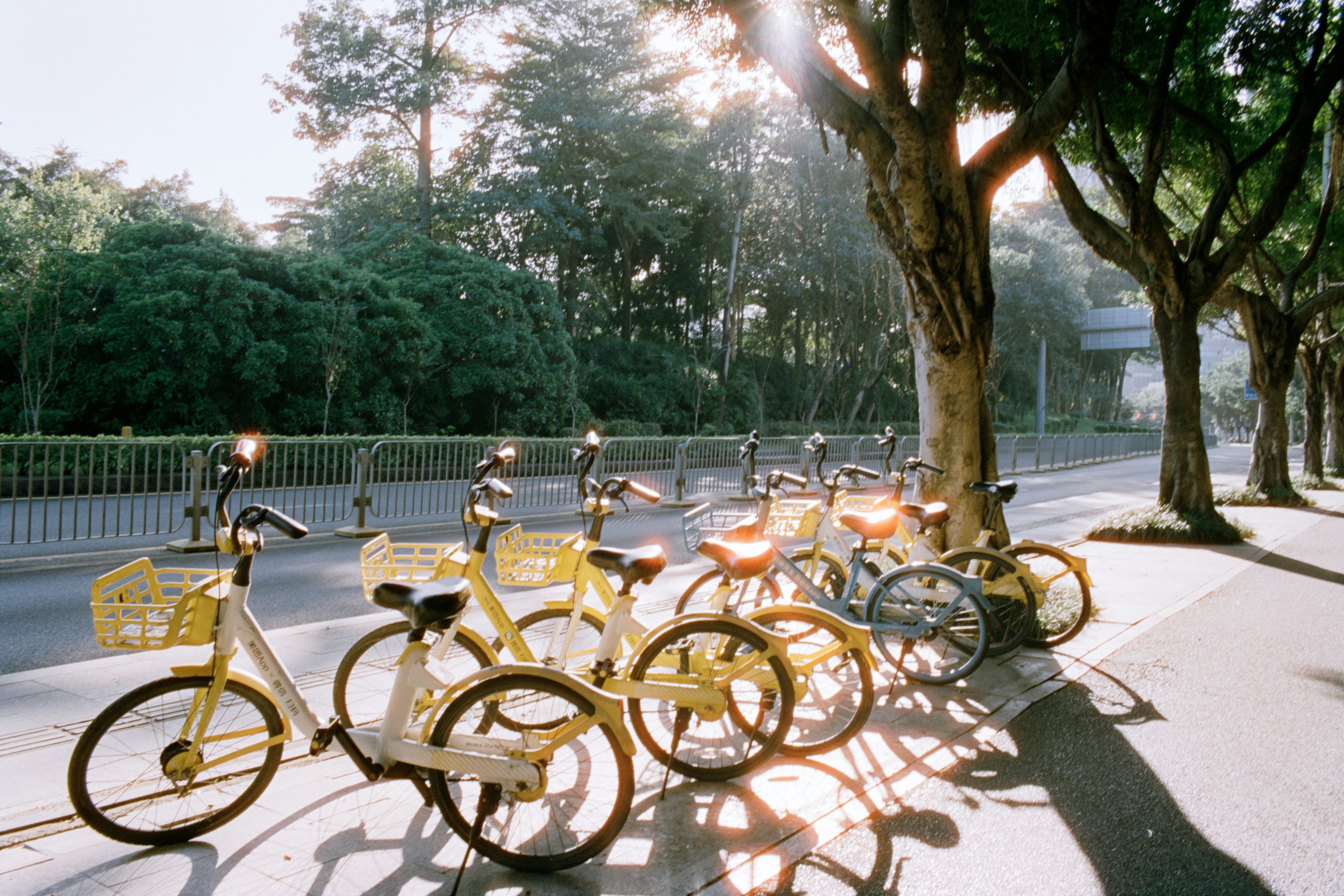 Photo by zhenyao_photo