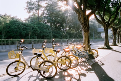Yellow bicycles parked along a tree-lined street.
