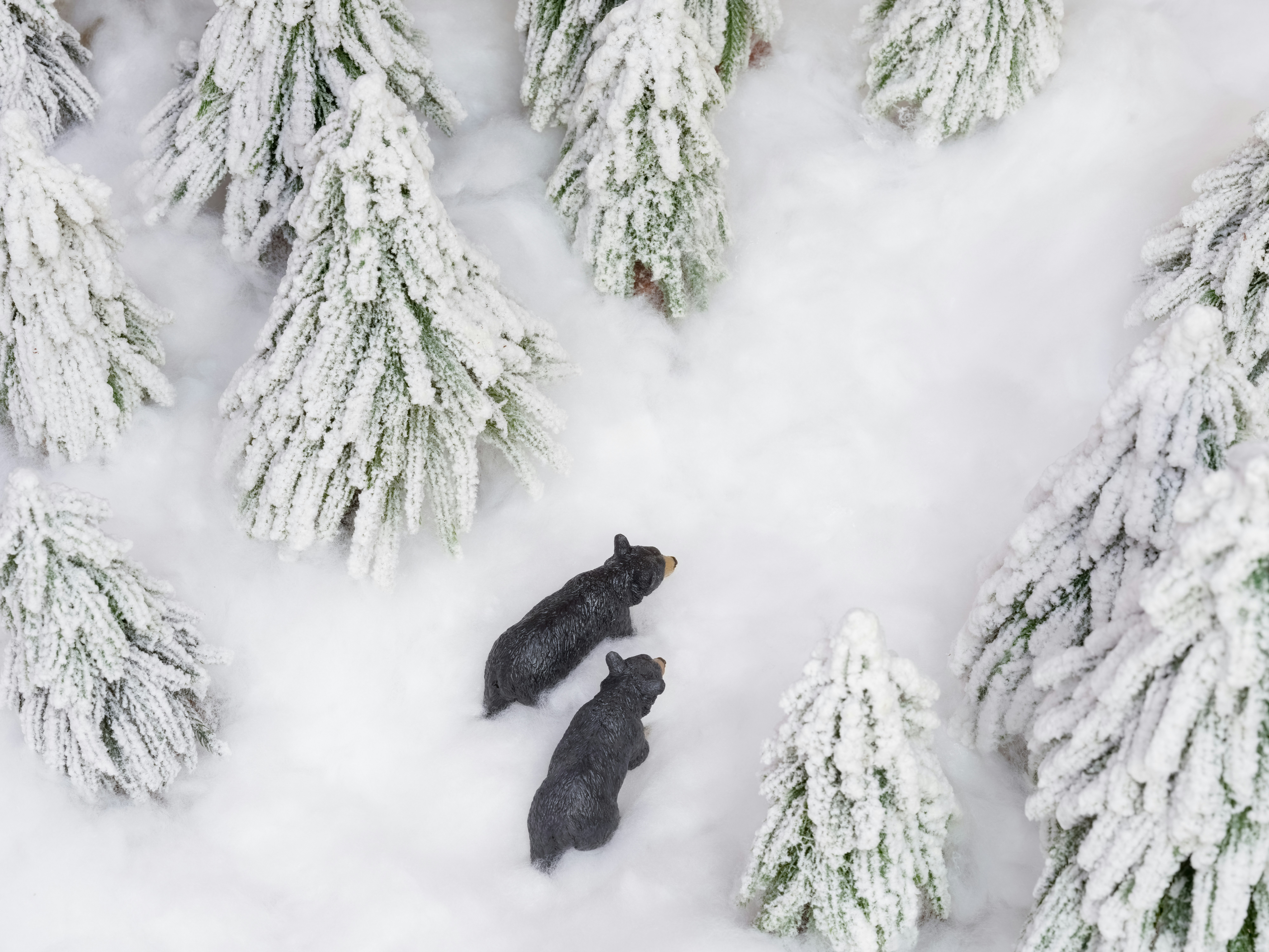 Two bears walking through a snowy forest.