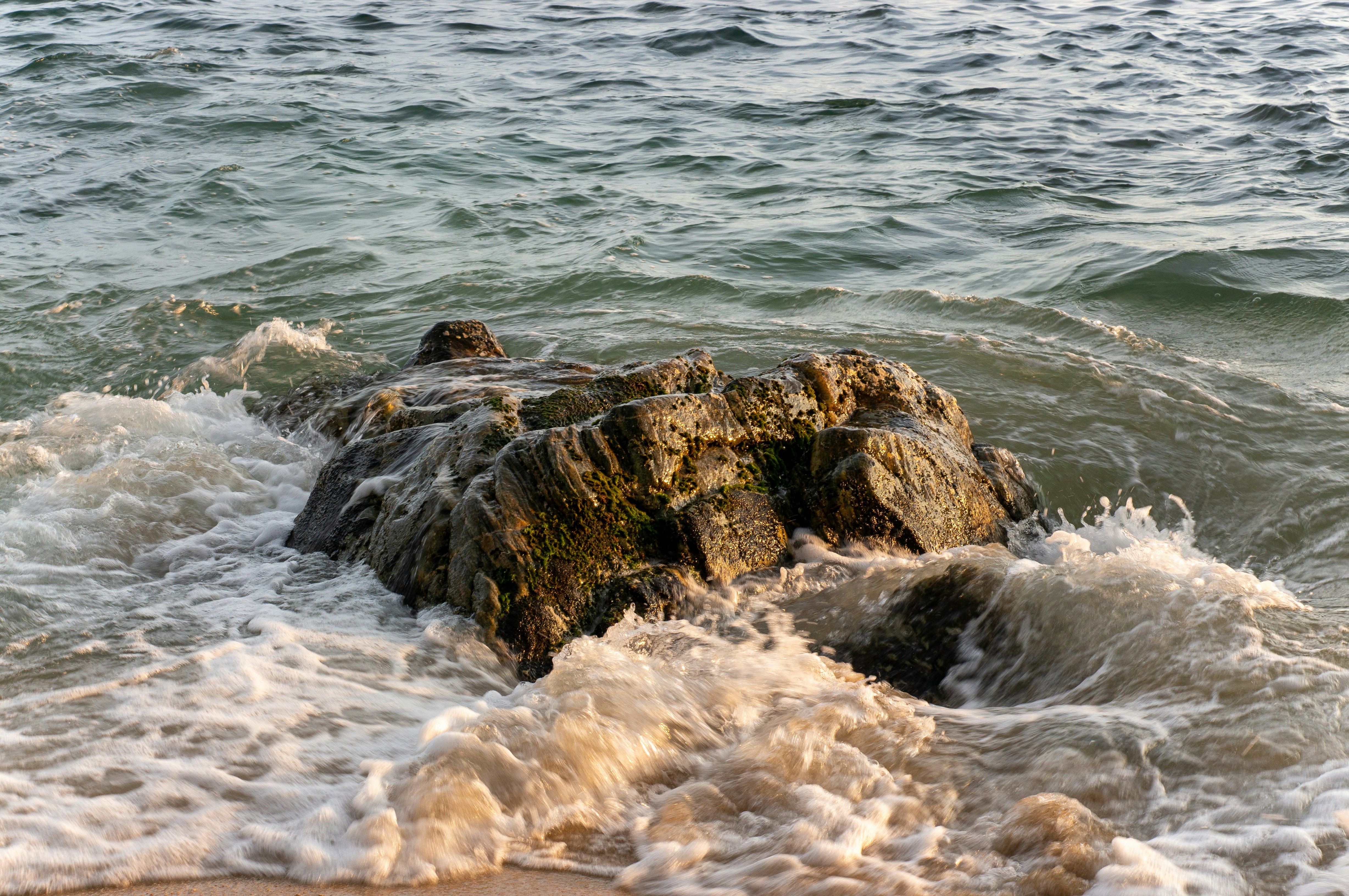 Photo by brandymakesshit