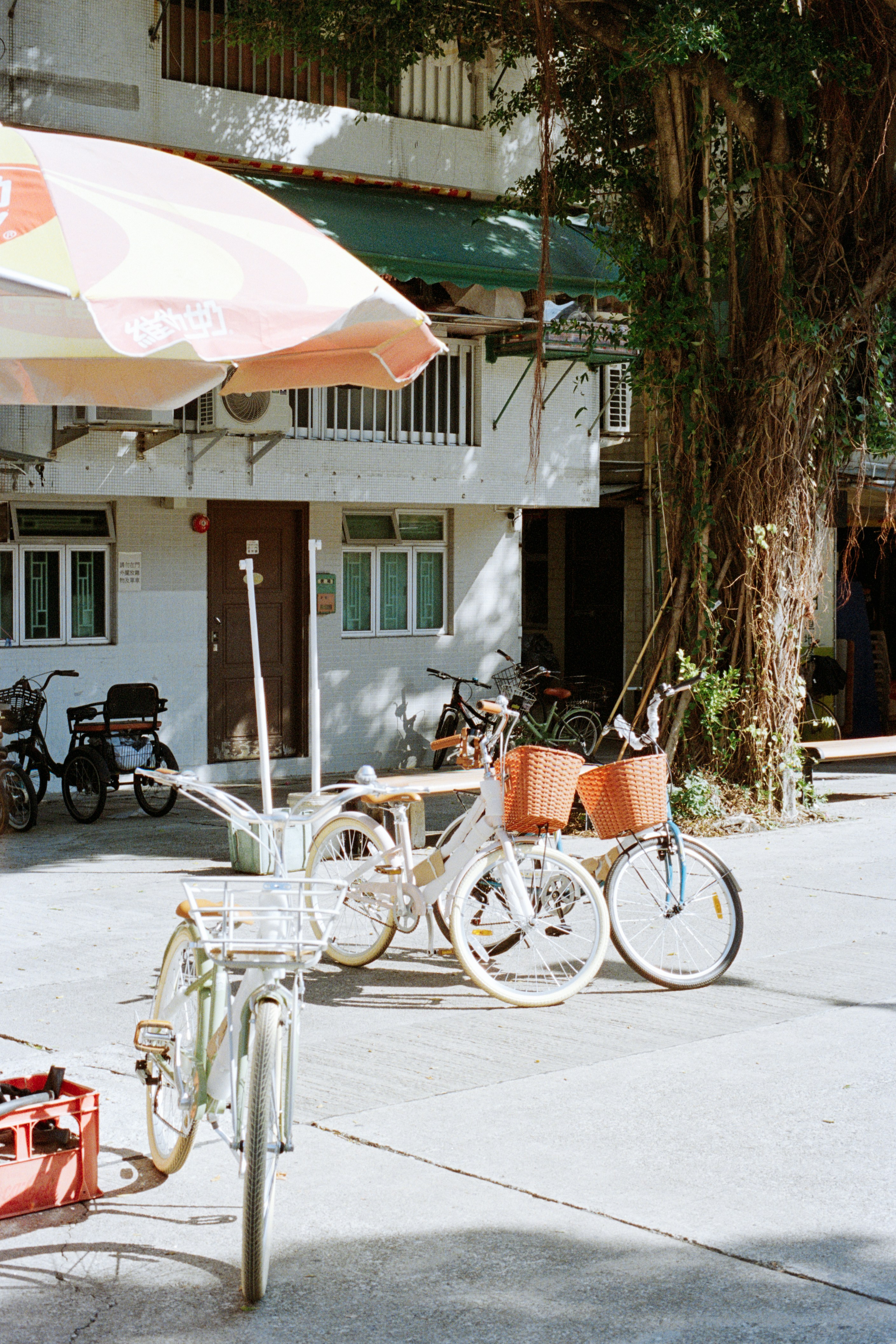 Photo by zhenyao_photo