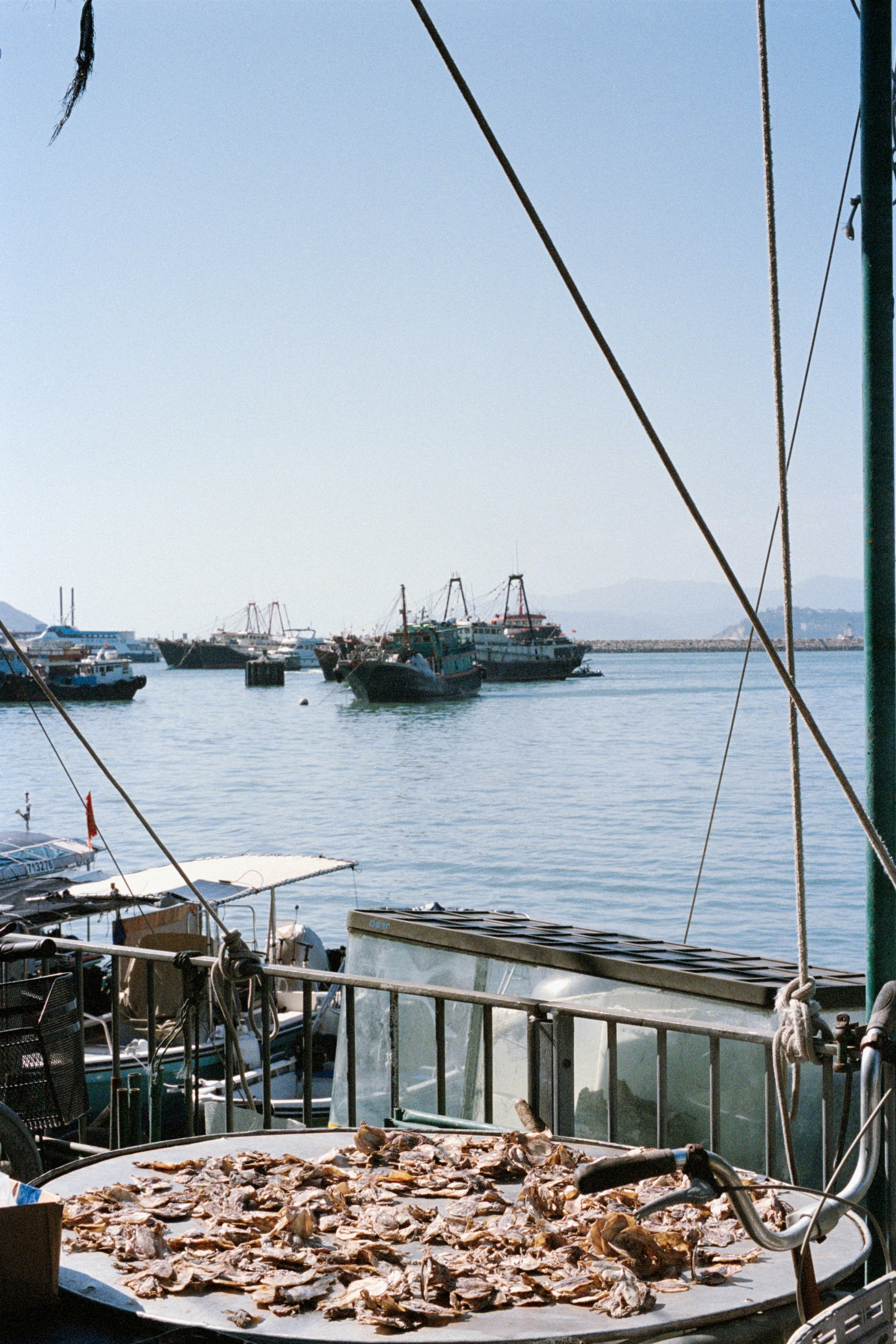 Photo by zhenyao_photo