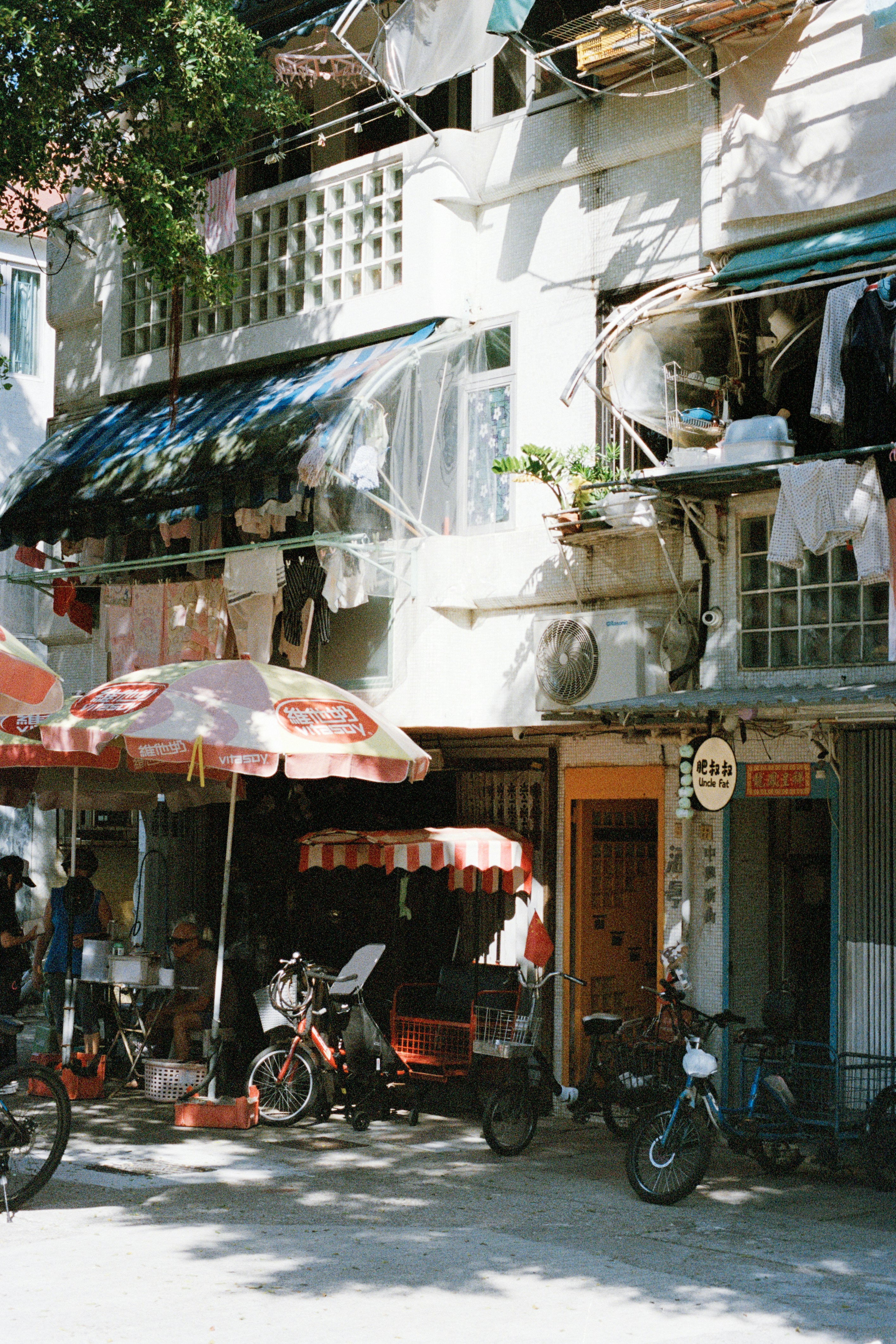 Photo by zhenyao_photo