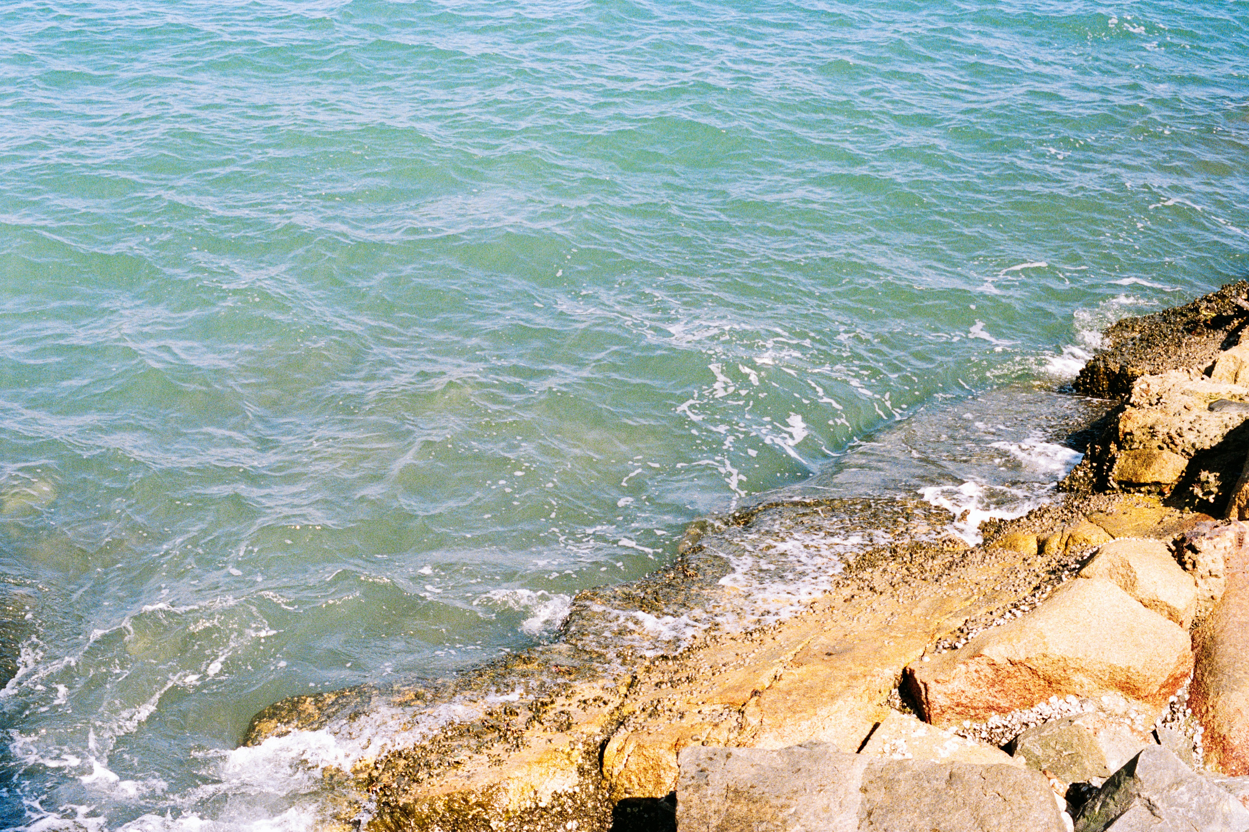 Photo by zhenyao_photo