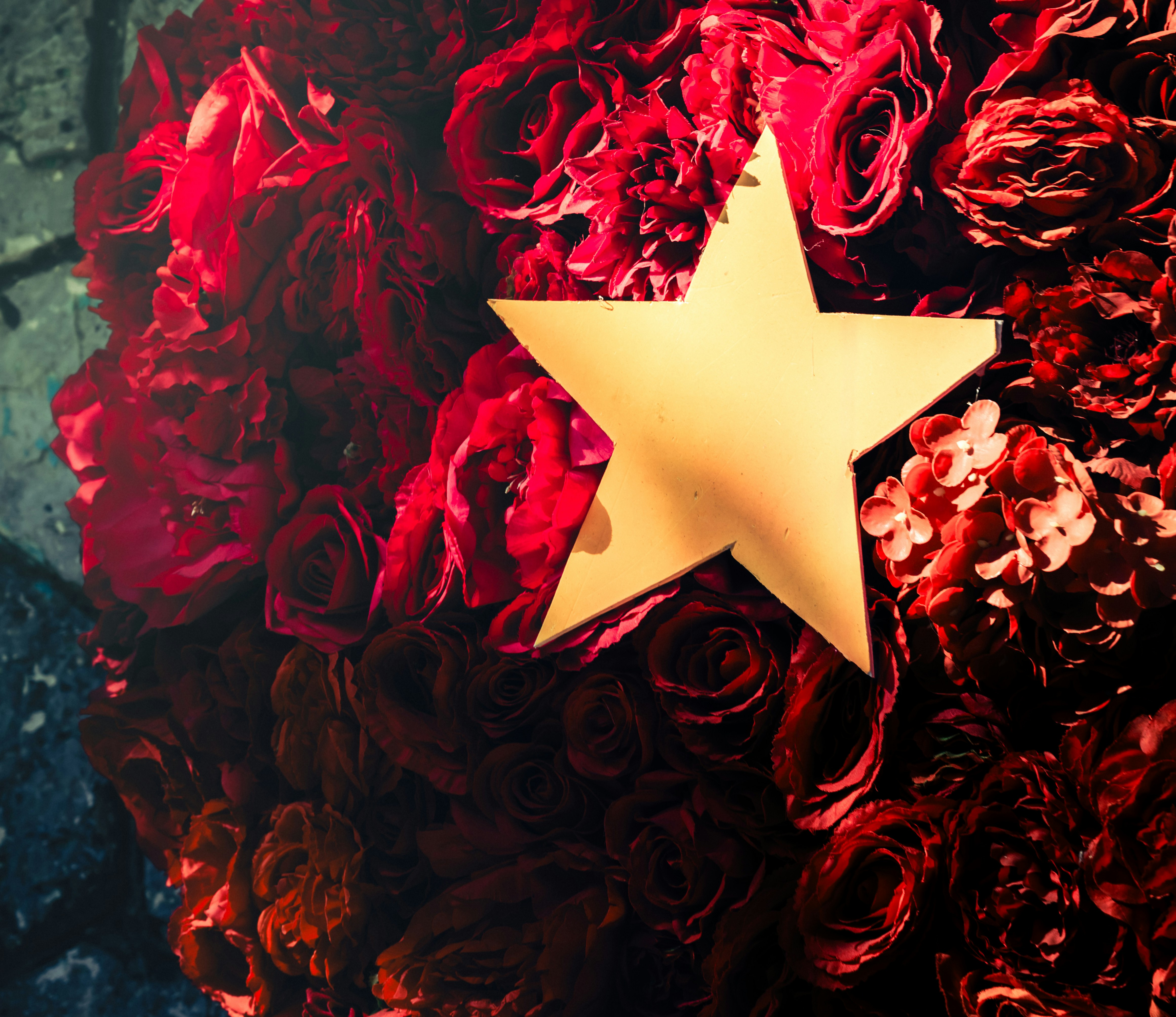 Uma estrela dourada repousa sobre um leito de rosas vermelhas.