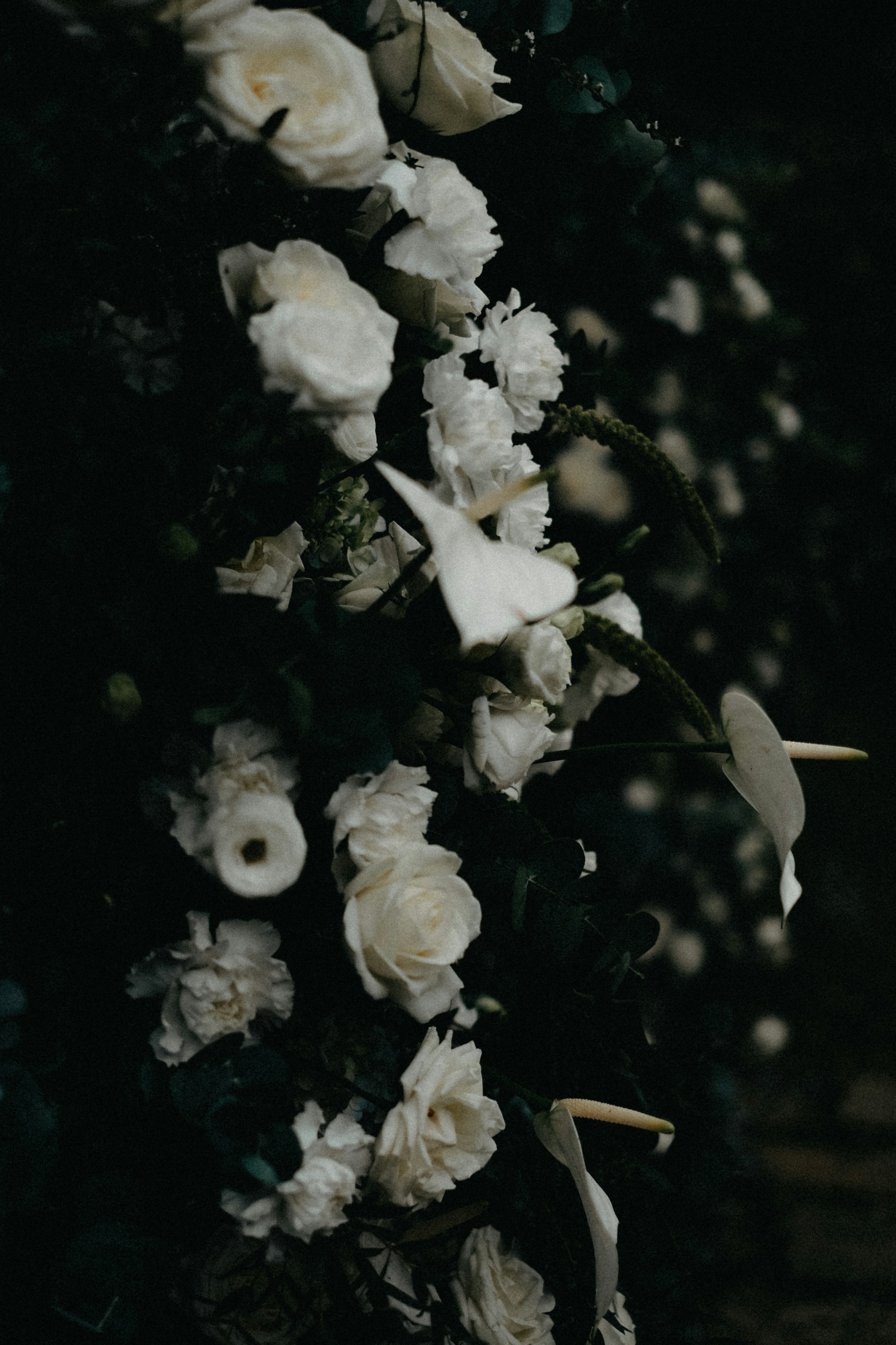 Photo by hoianphotographer