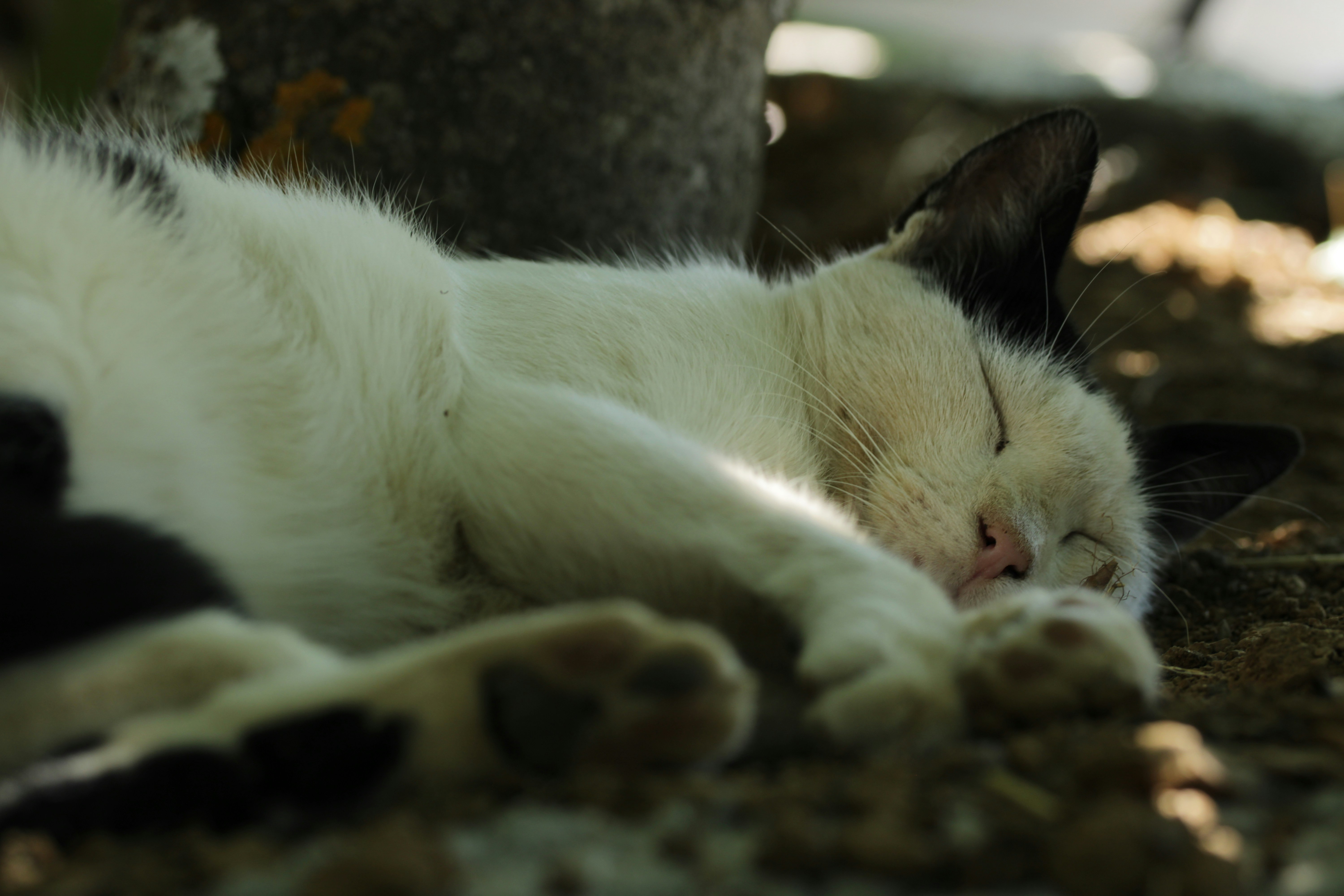 매일 밤 3시에 깨는 당신, '이것' 바꾸지 않으면 10년 뒤 뇌가 쪼그라듭니다 관련 이미지