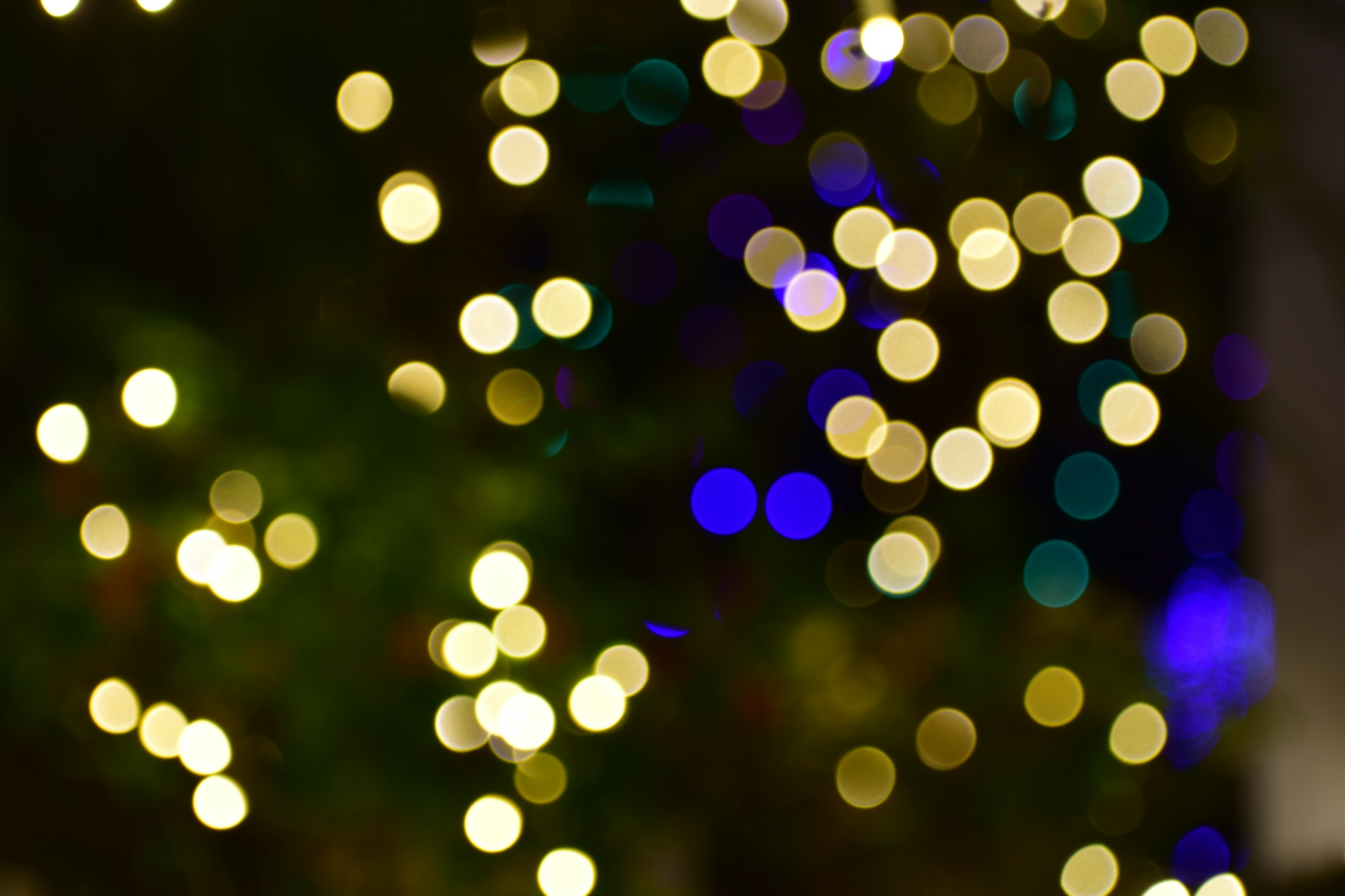 Photo by neelakshi_singh_