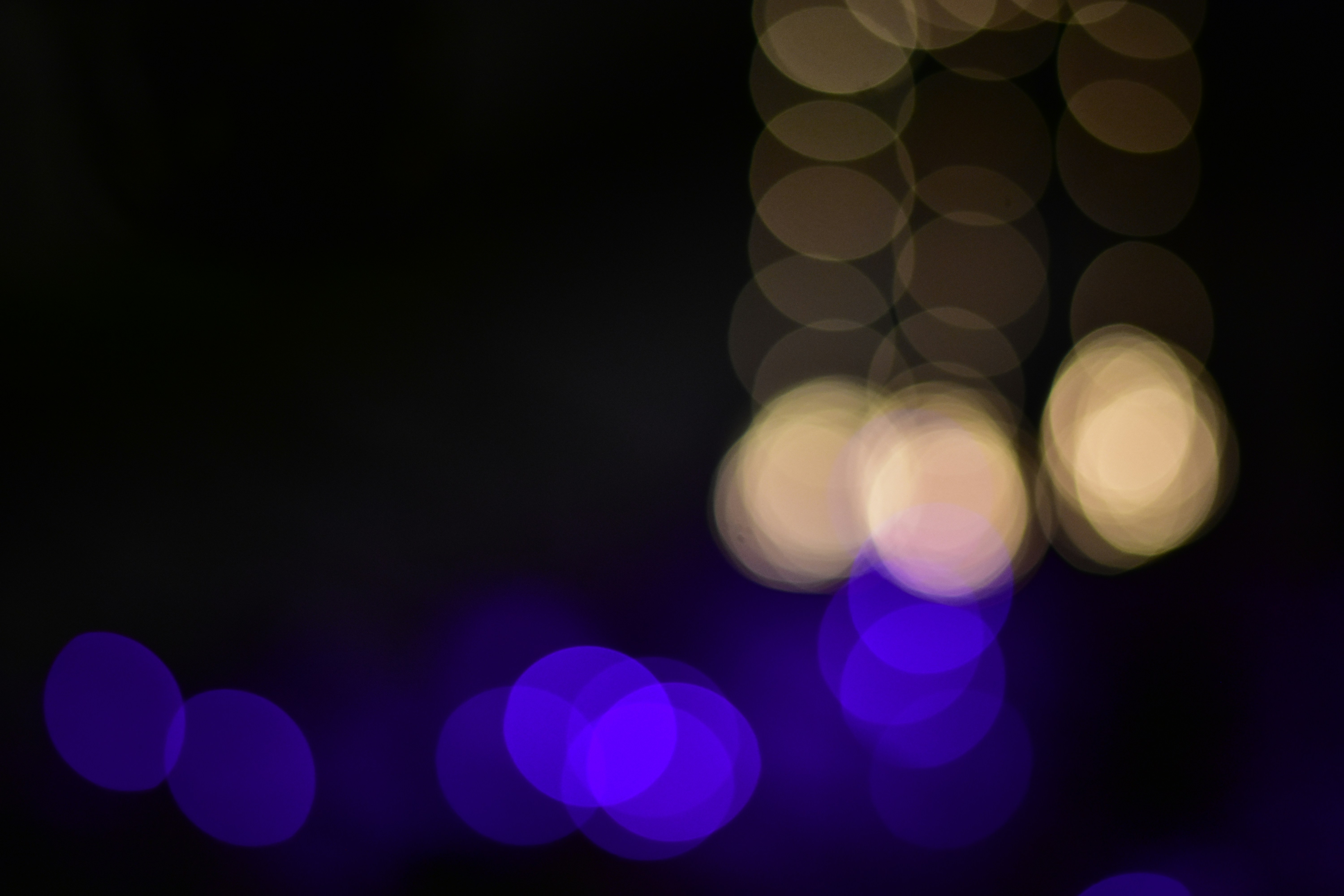 Photo by neelakshi_singh_