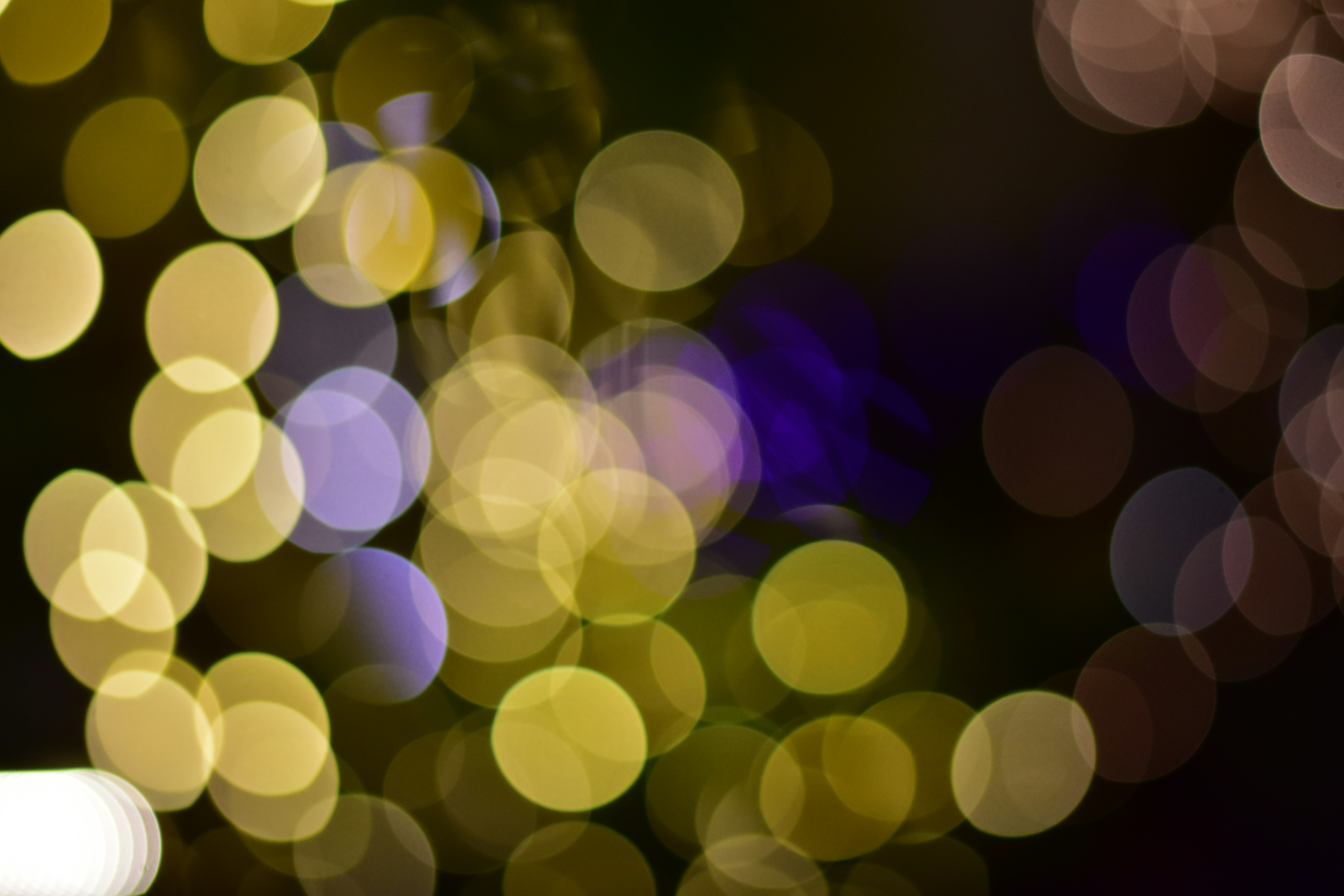 Photo by neelakshi_singh_