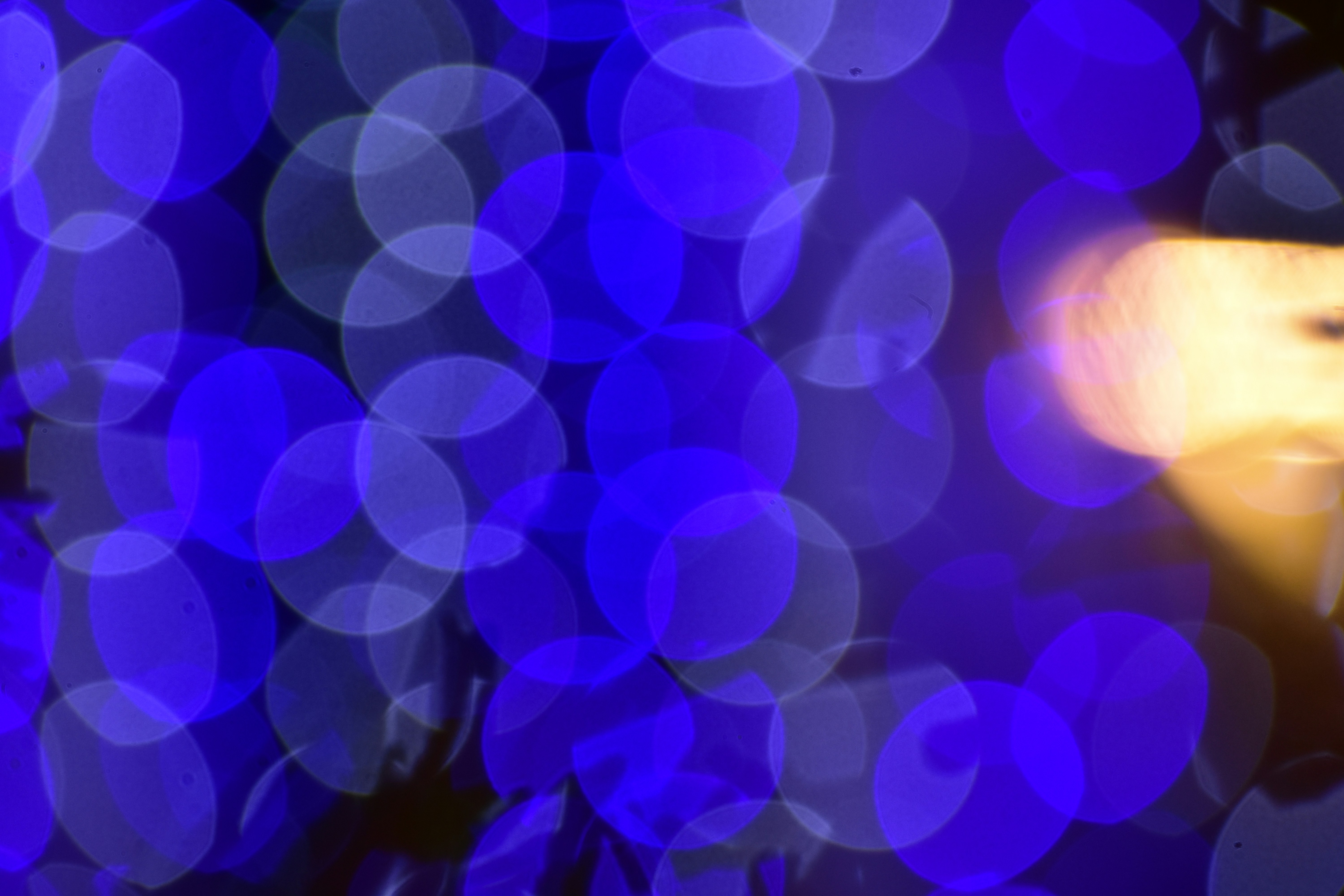 Photo by neelakshi_singh_