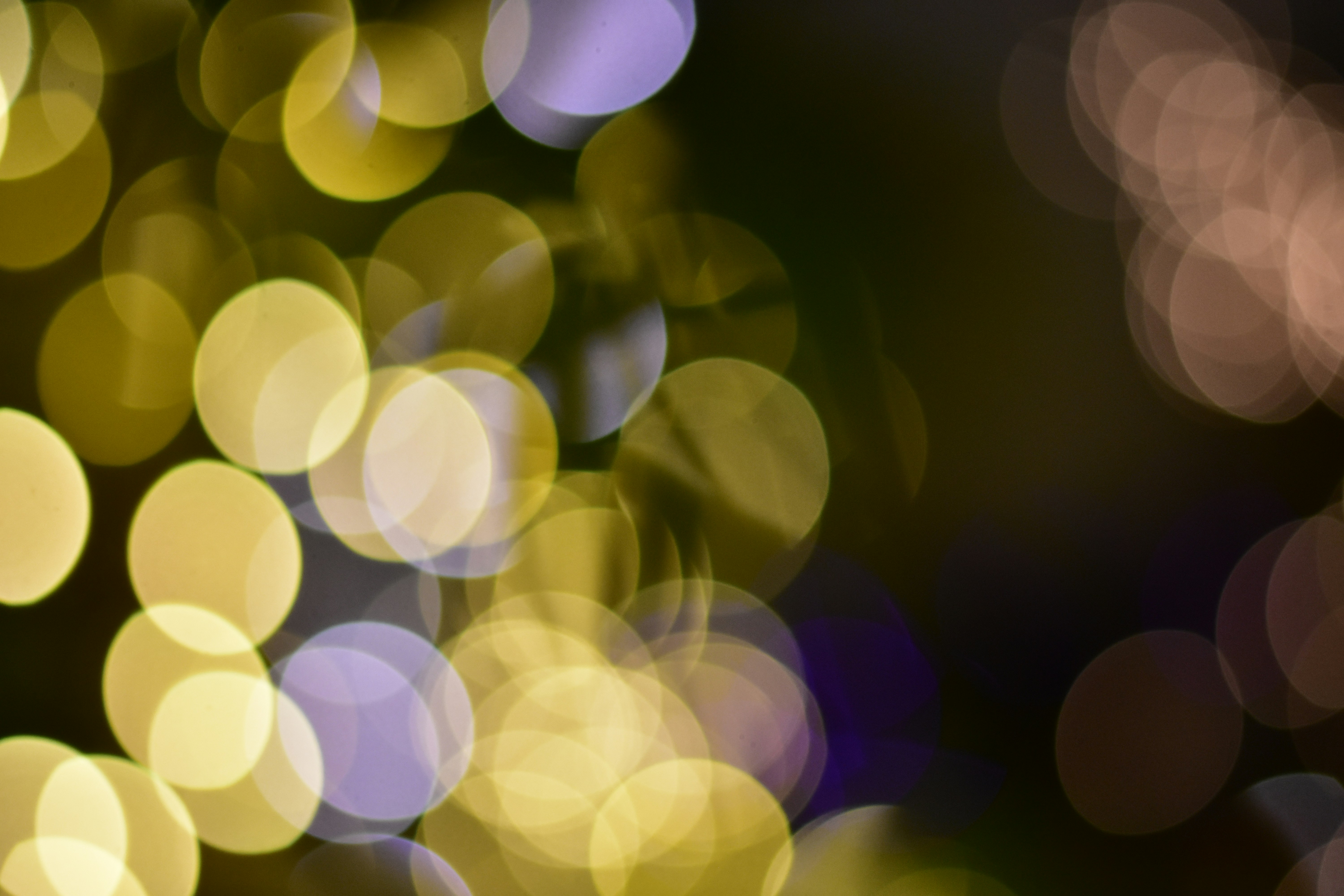 Photo by neelakshi_singh_