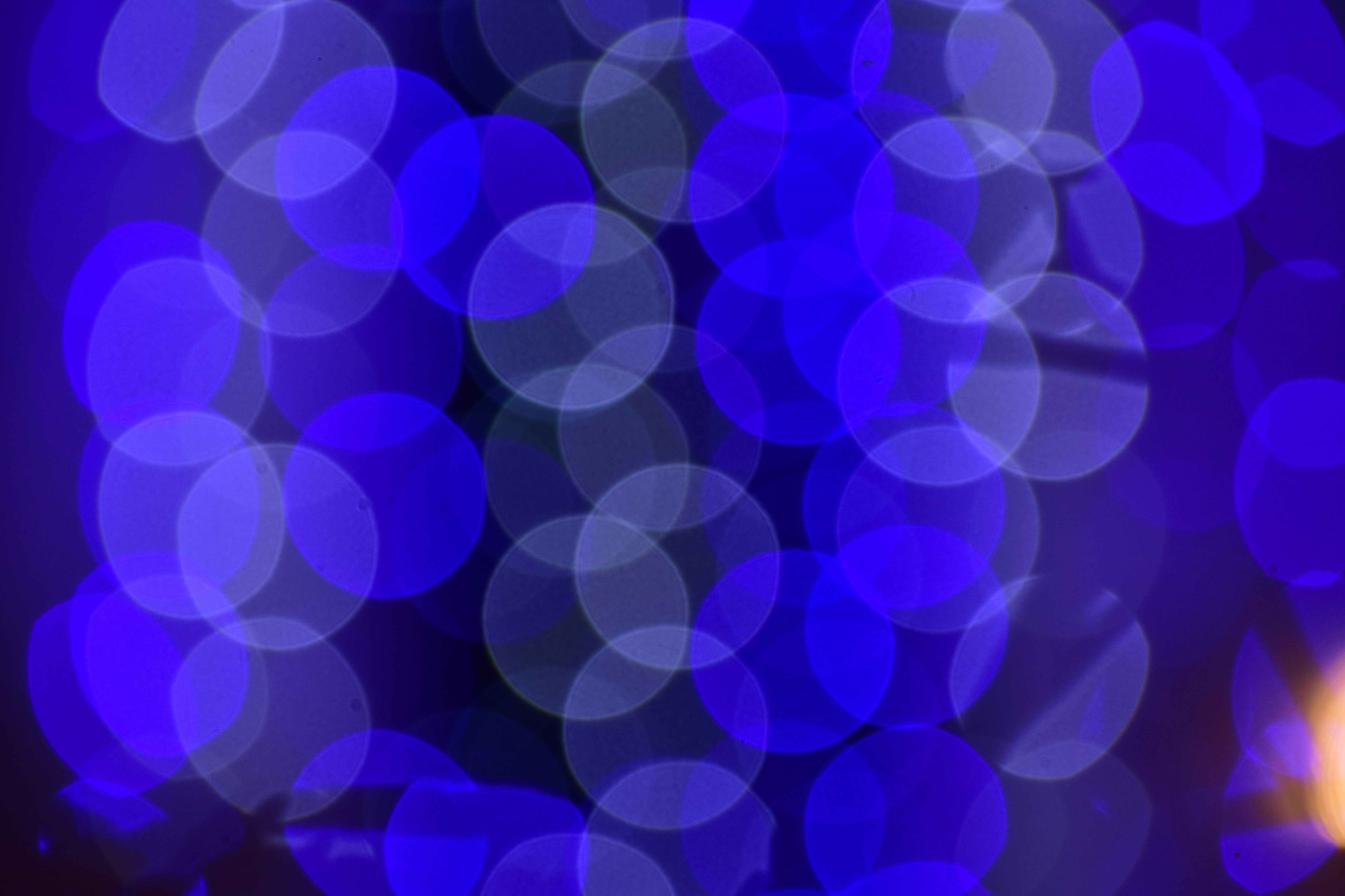 Photo by neelakshi_singh_