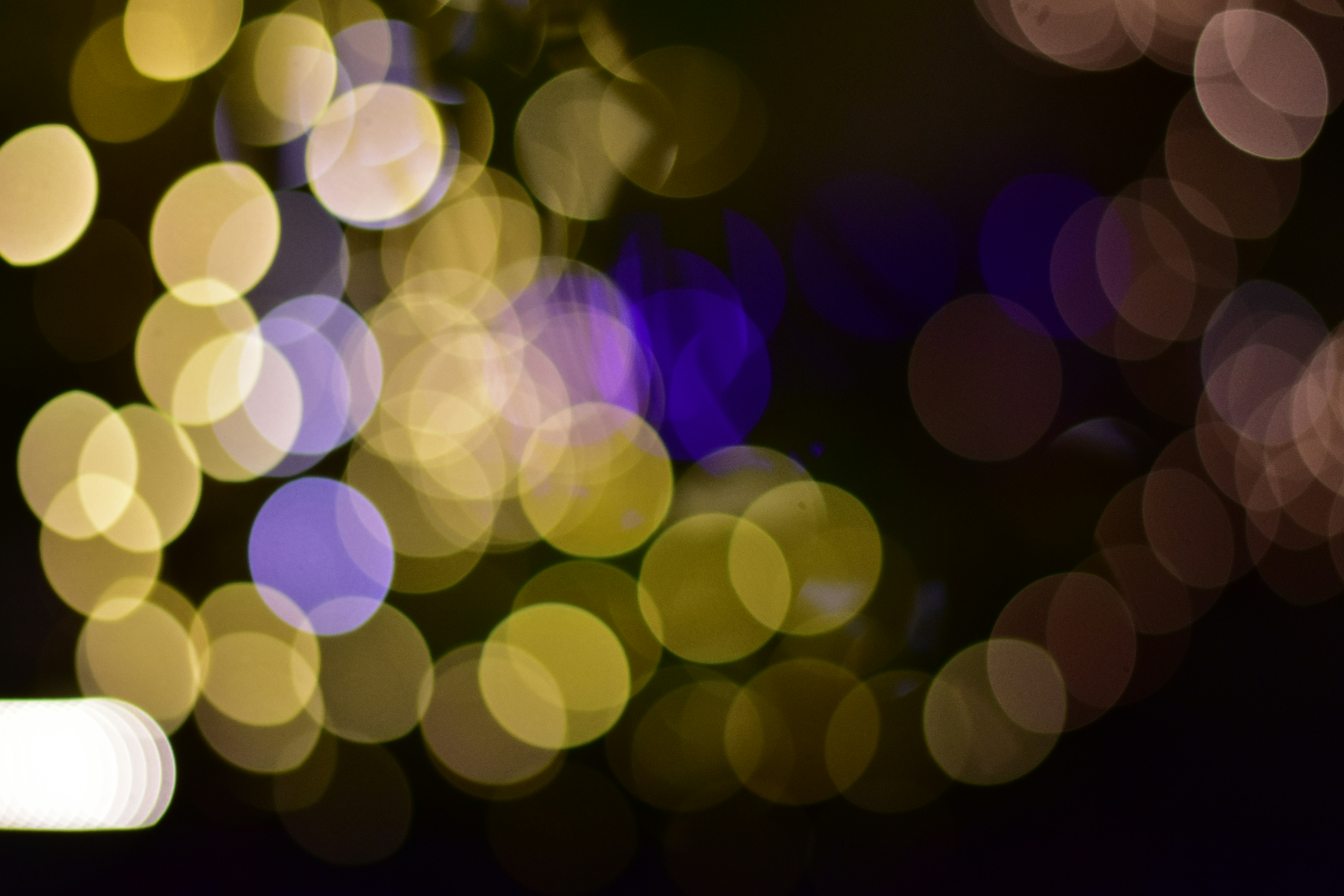 Photo by neelakshi_singh_