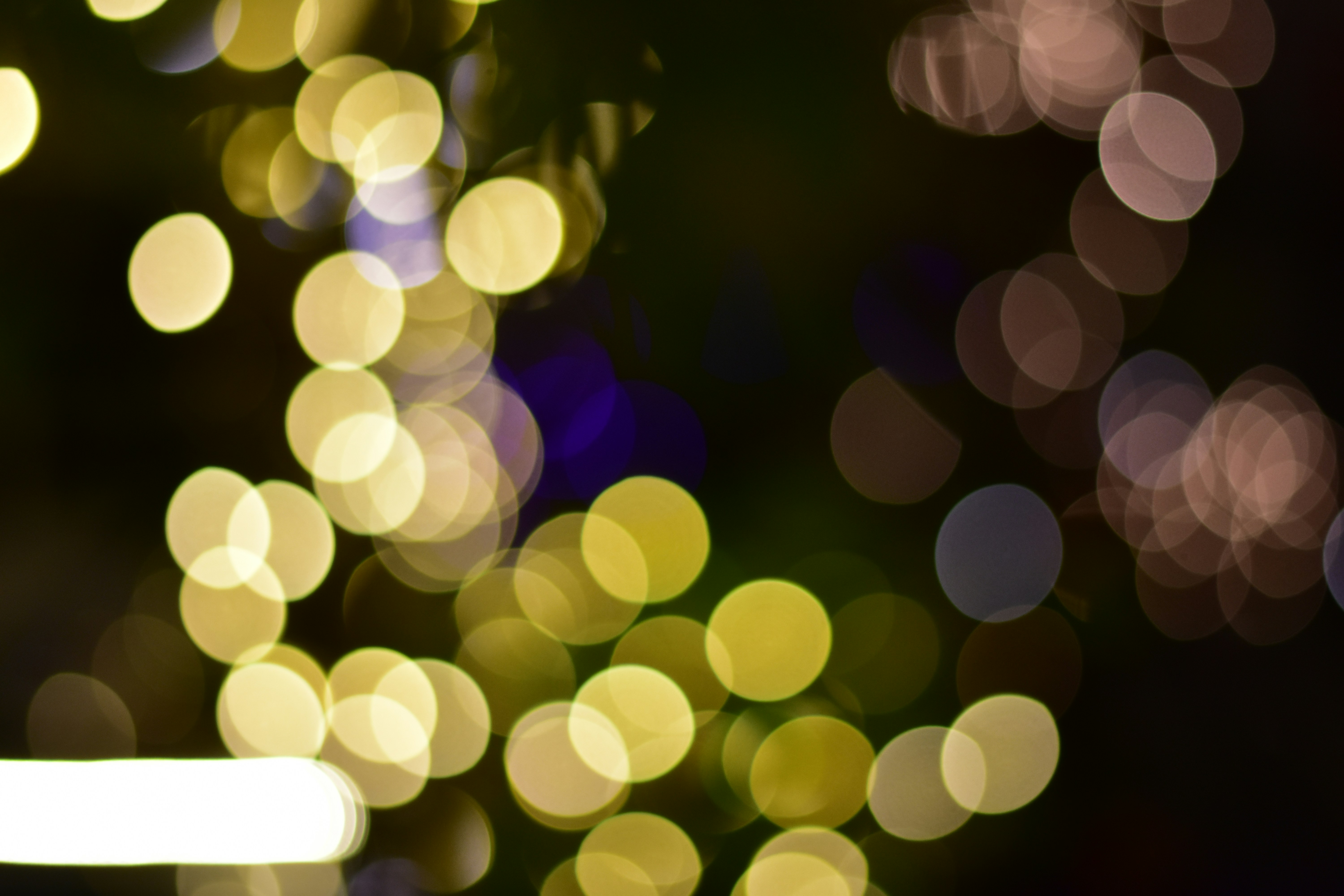 Photo by neelakshi_singh_