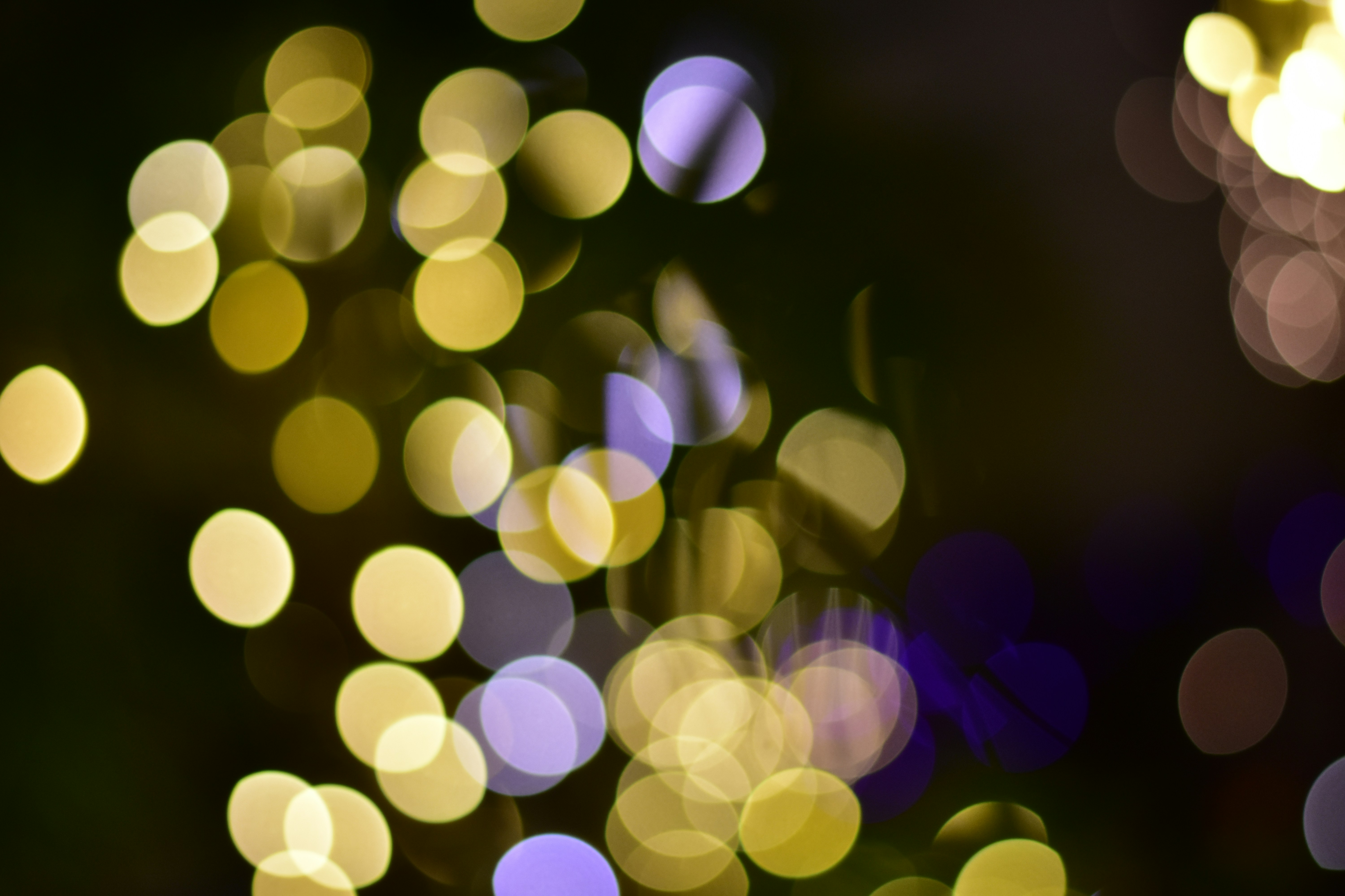 Photo by neelakshi_singh_