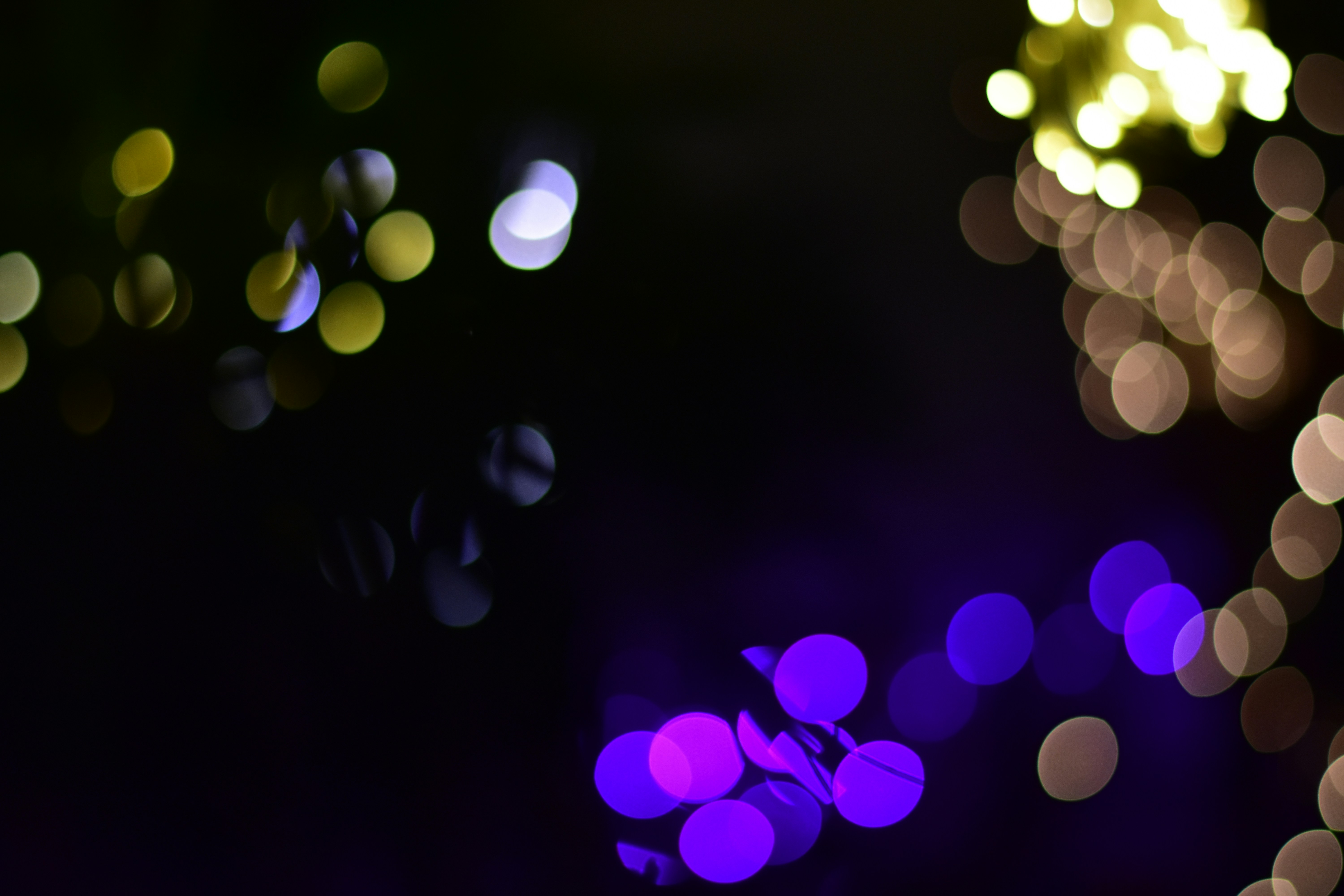 Photo by neelakshi_singh_