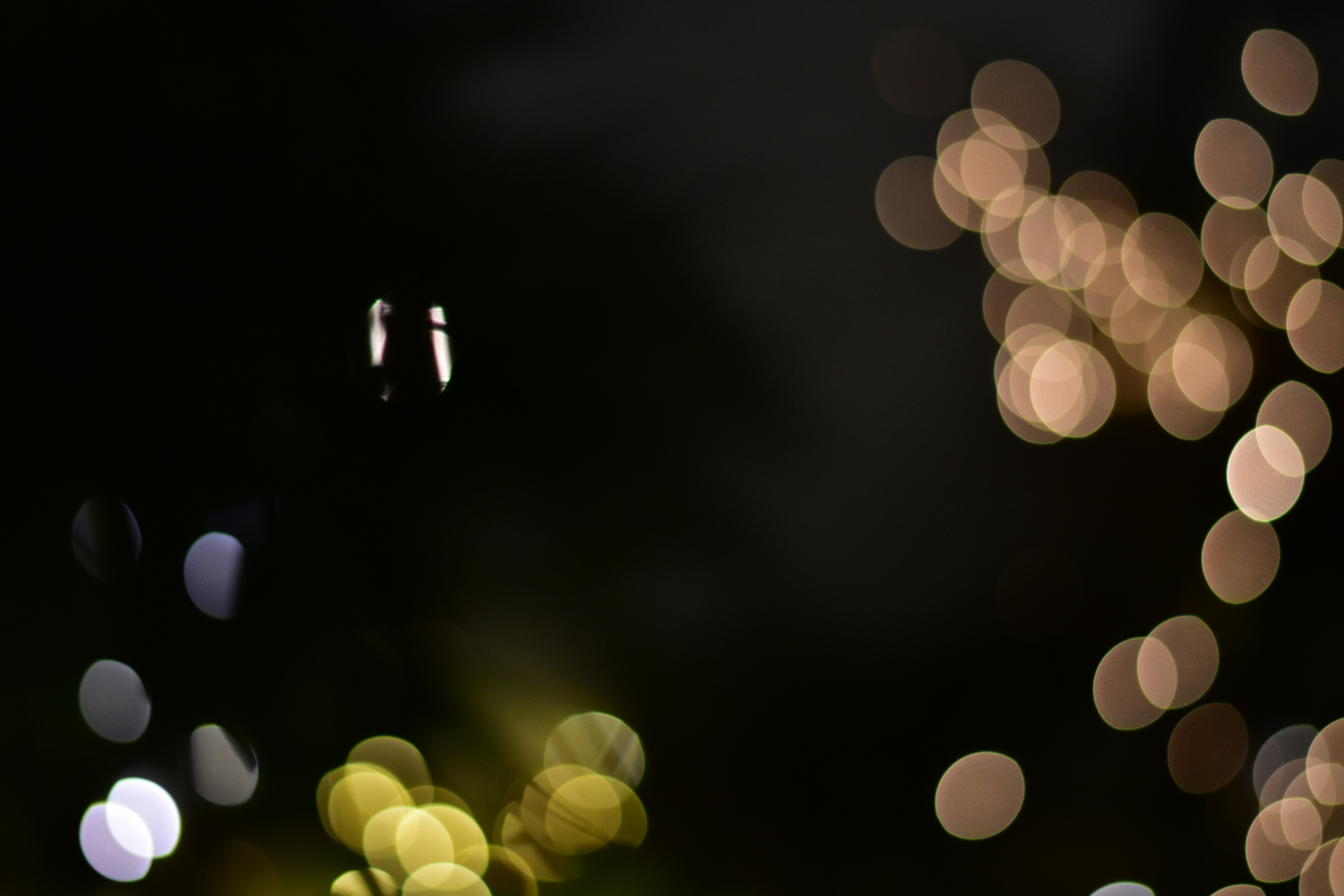 Photo by neelakshi_singh_