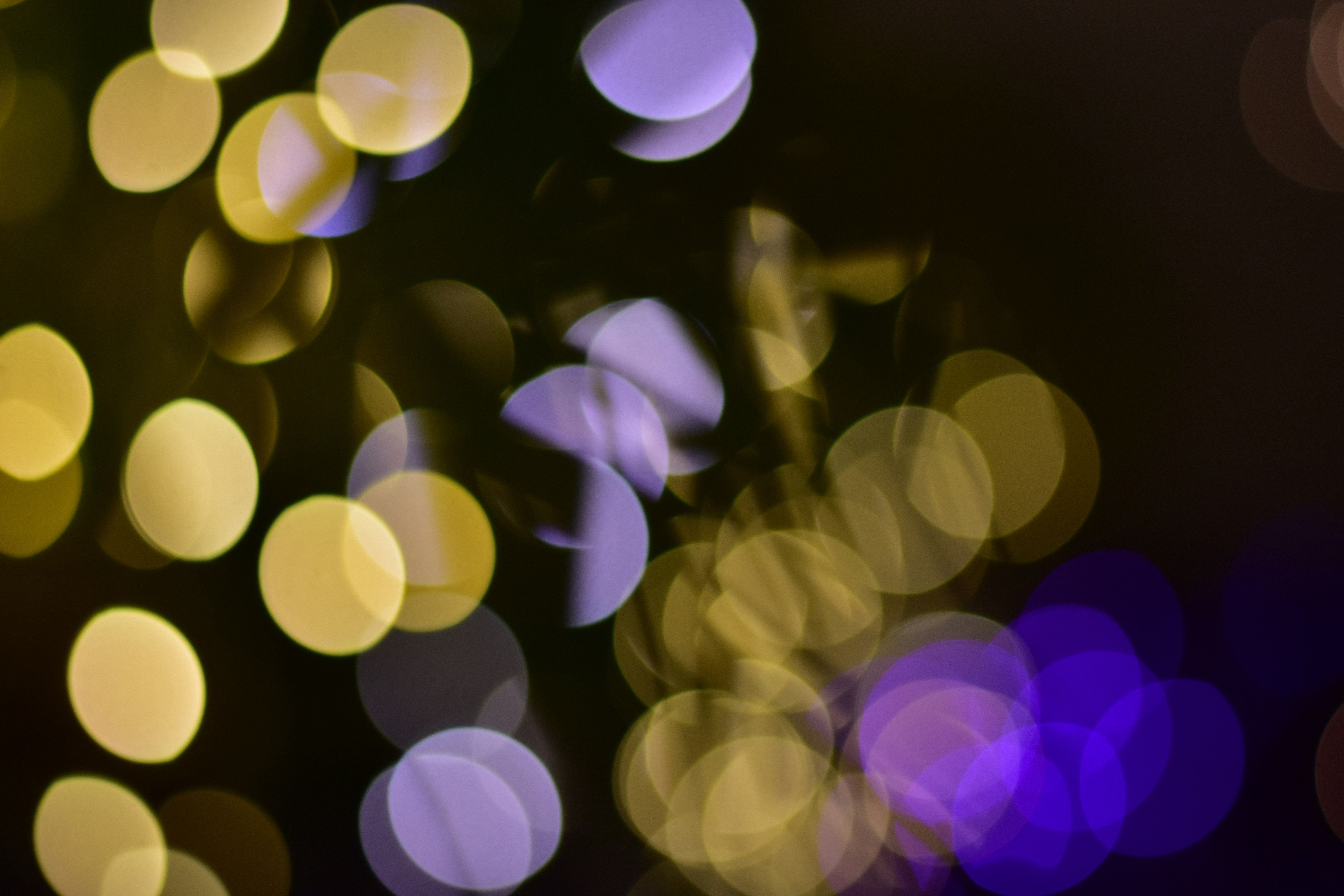 Photo by neelakshi_singh_