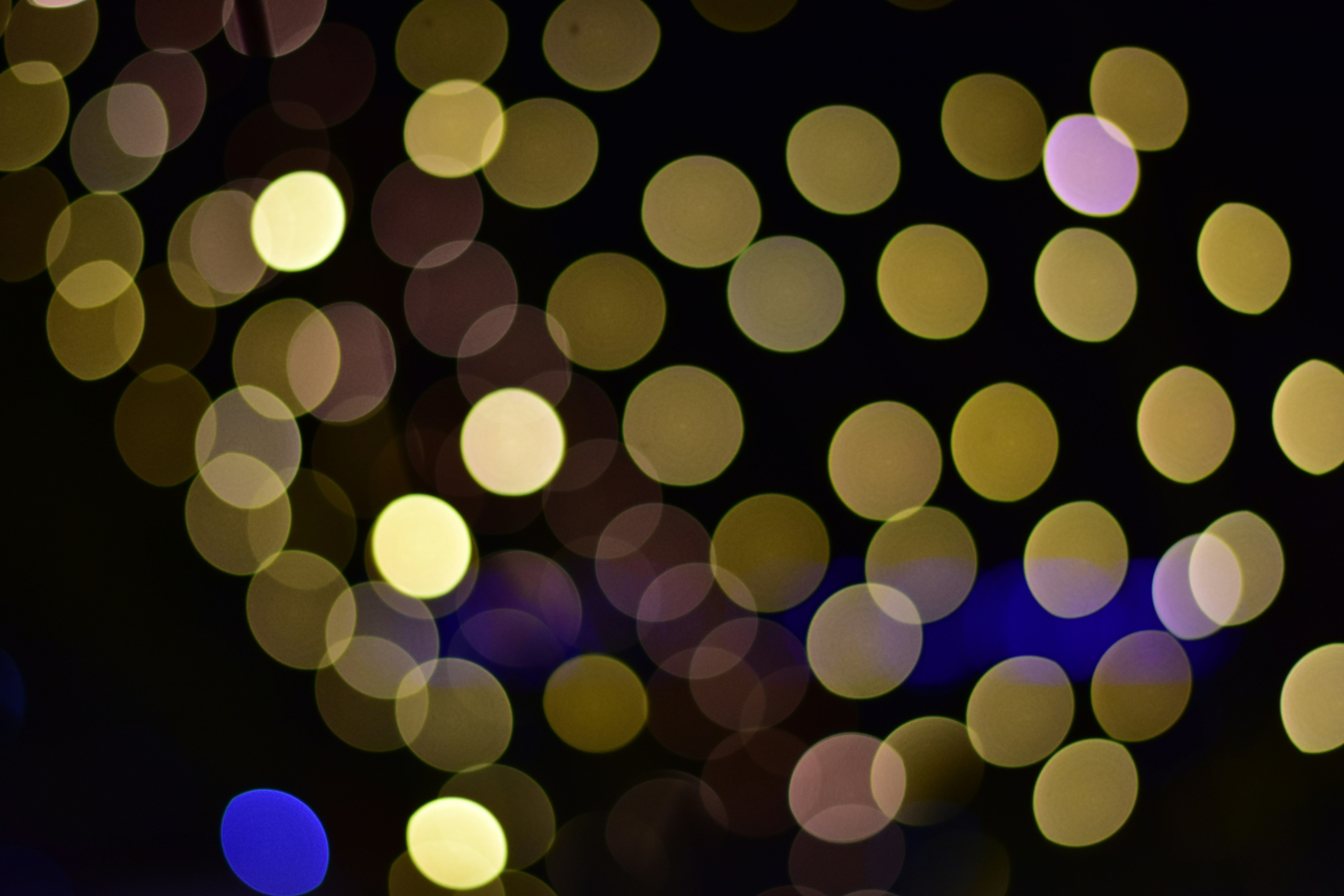 Photo by neelakshi_singh_