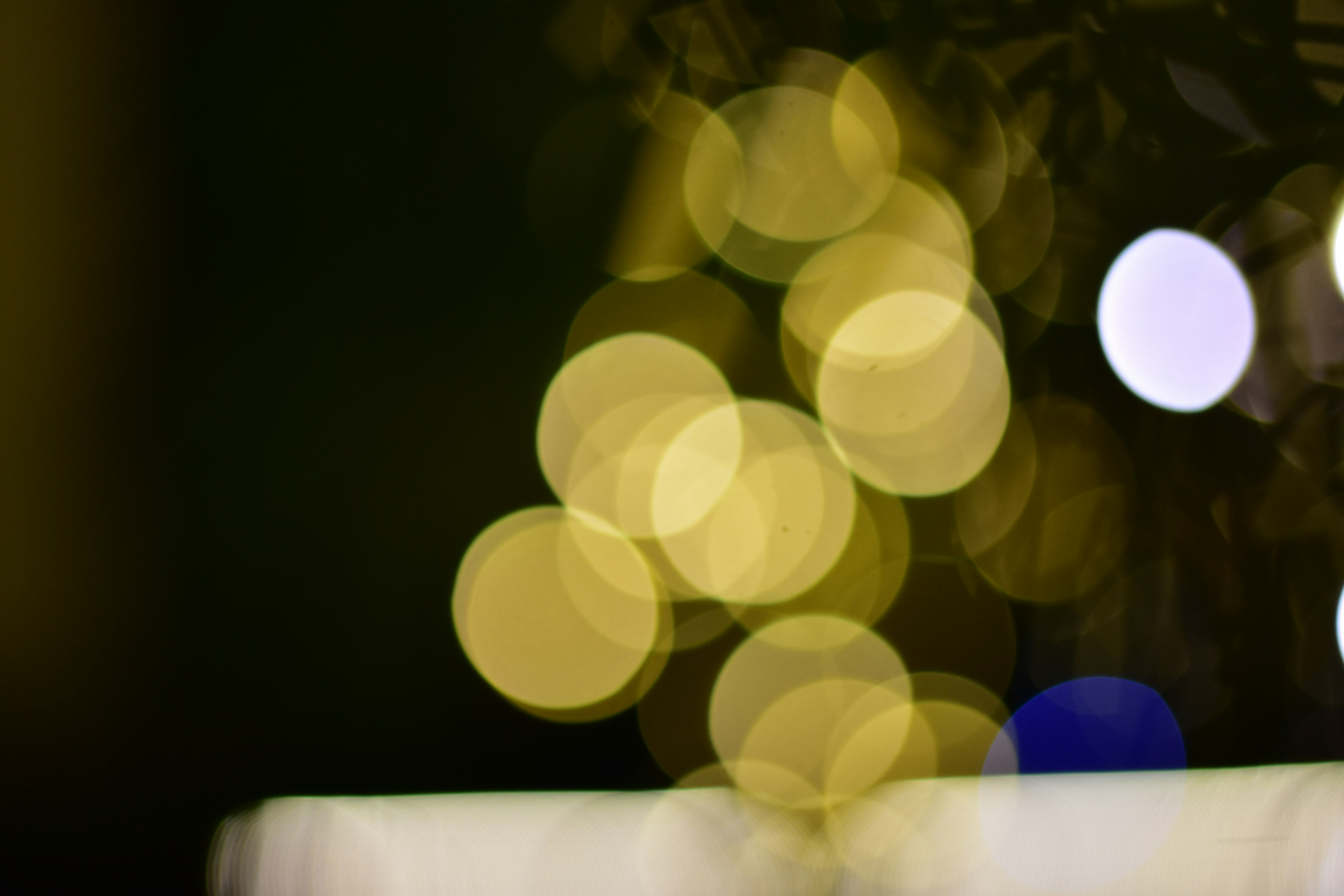 Heartfelt Christmas Greetings & Wishes to Share 2025