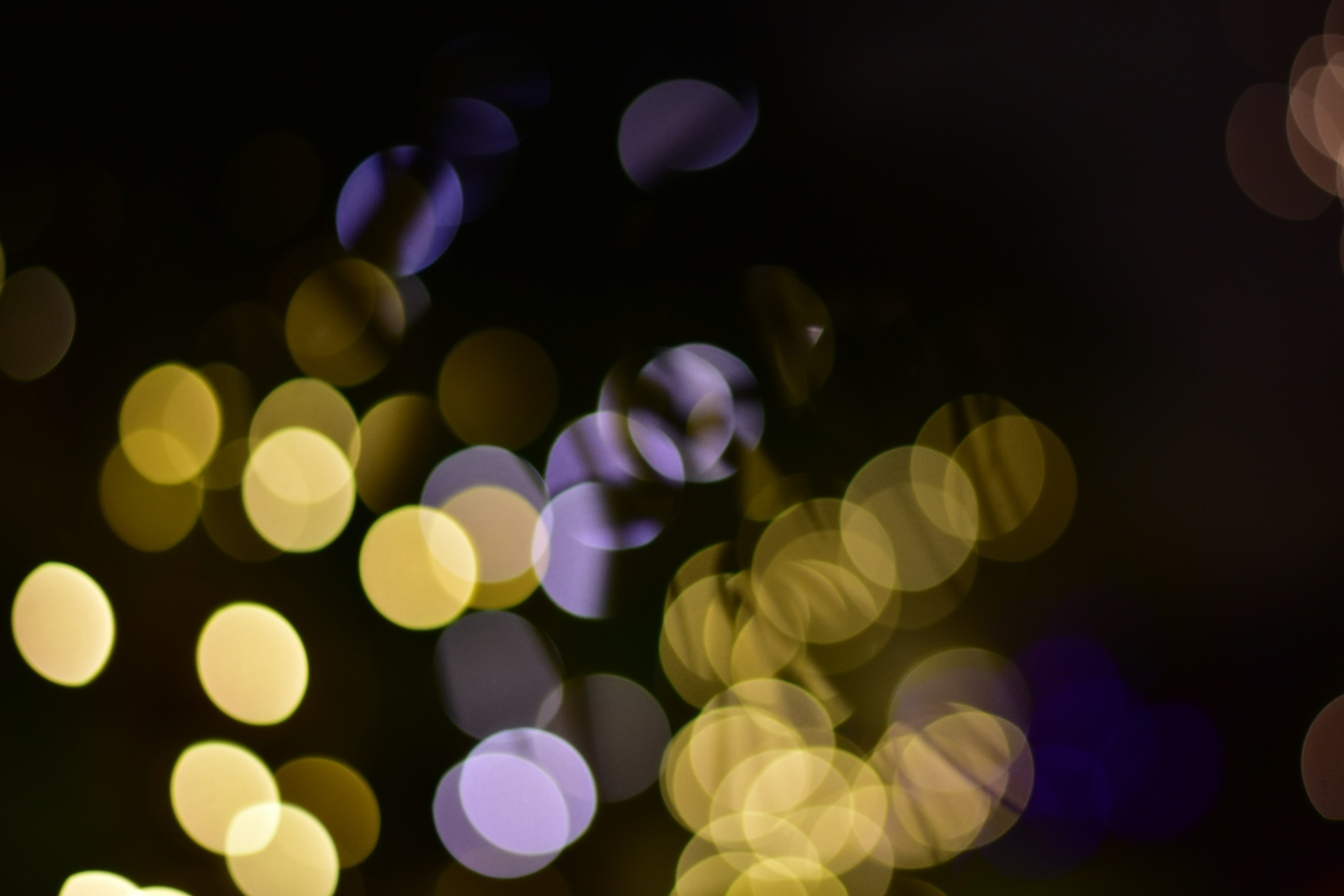 Photo by neelakshi_singh_