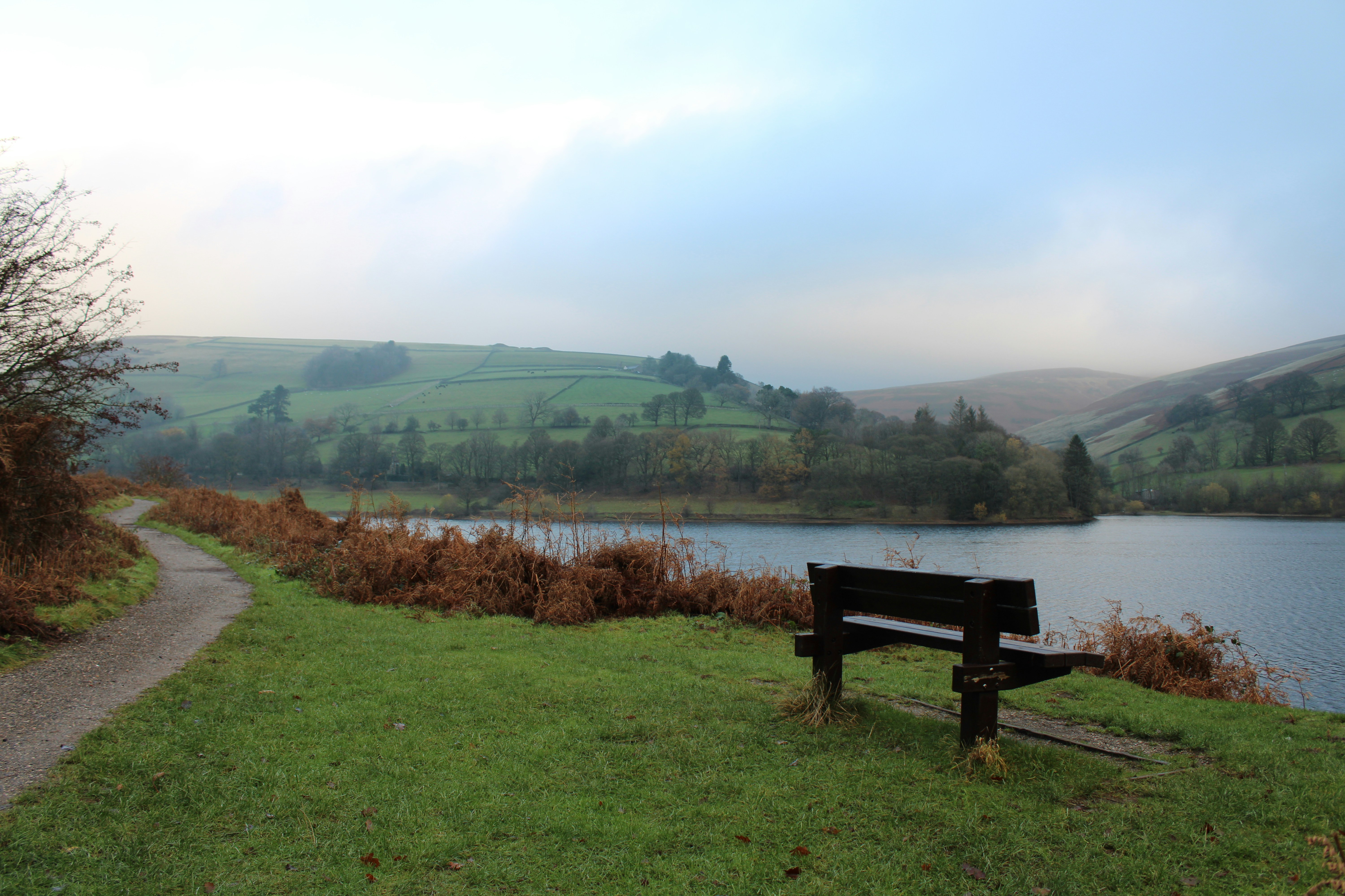 Wooden bench overlooking a calm lake and rolling hills.