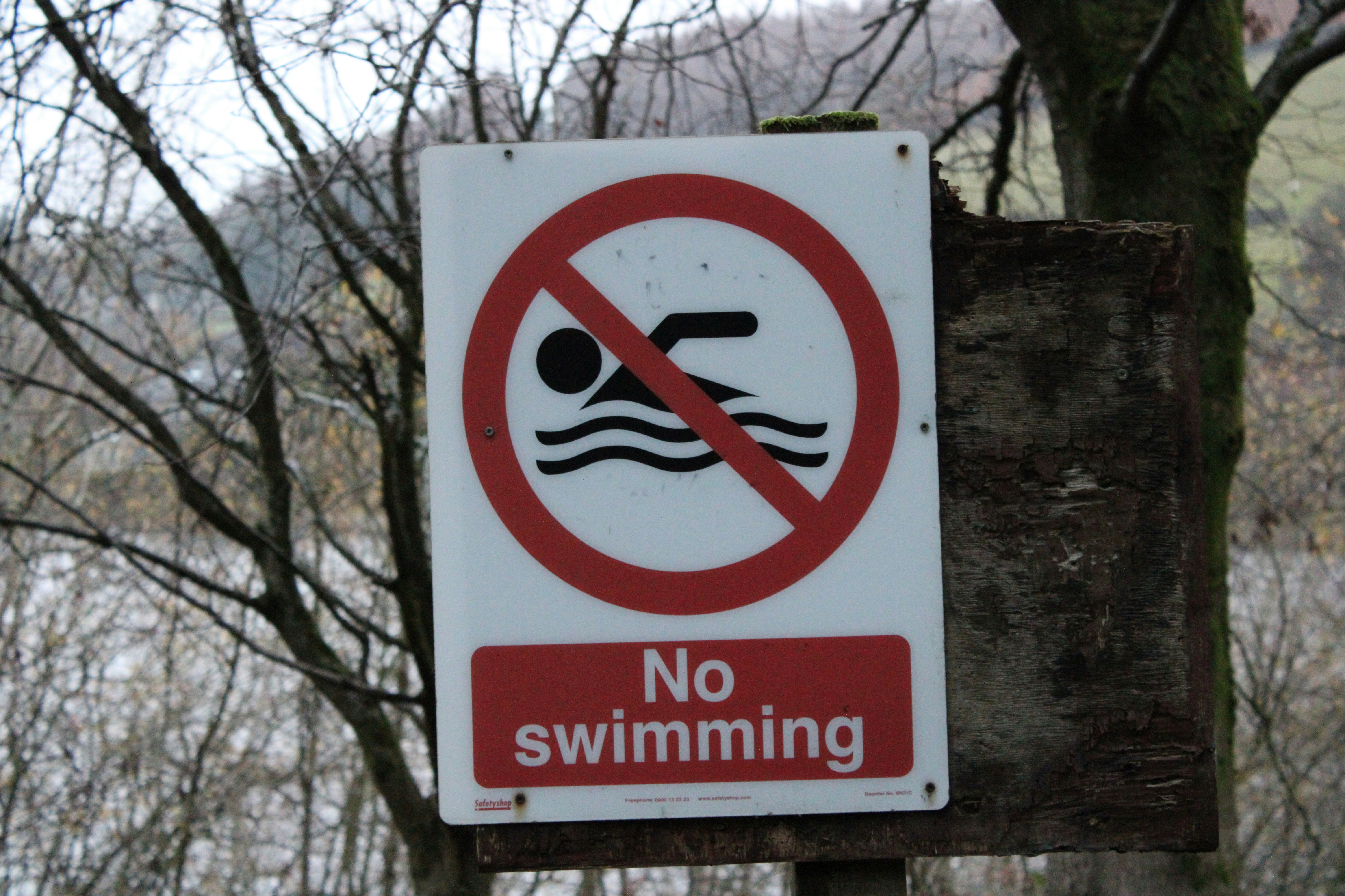 Mount Rainier Safety: Government Protocols for Climbers